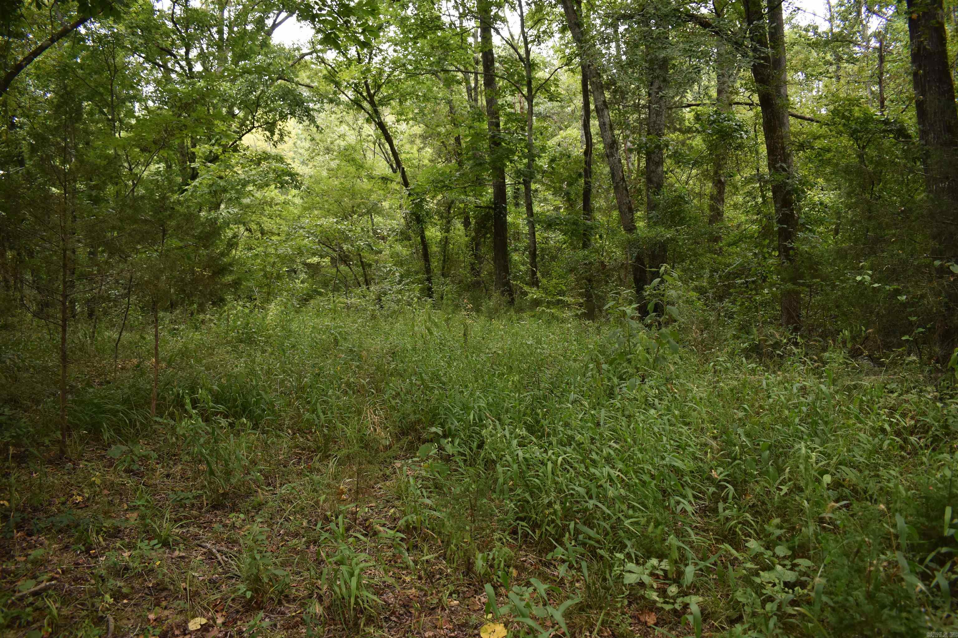 36 Missy Ridge  Oden, AR