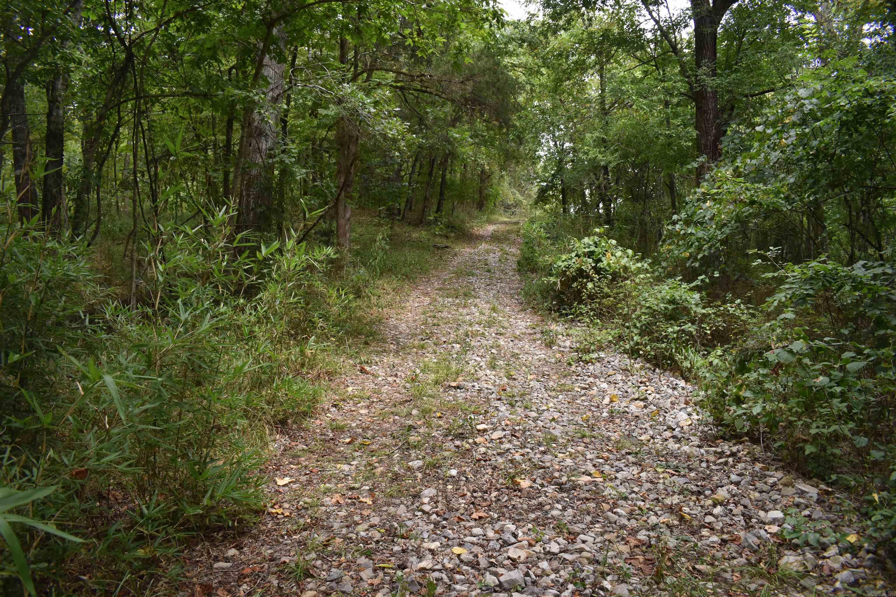 36 Missy Ridge  Oden, AR