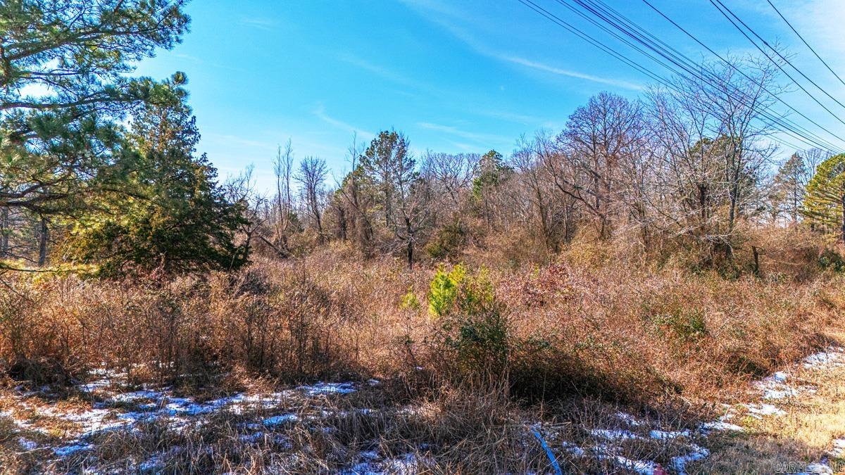 38118 Annie Brown Road  Alexander, AR