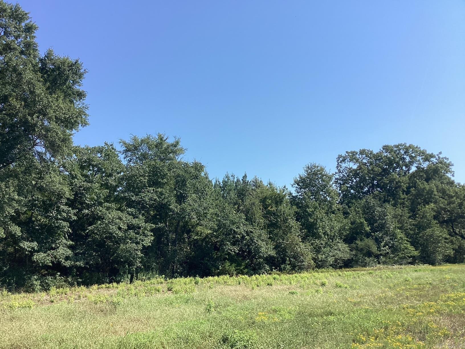  W Ave E. 41 acres  Hope, AR