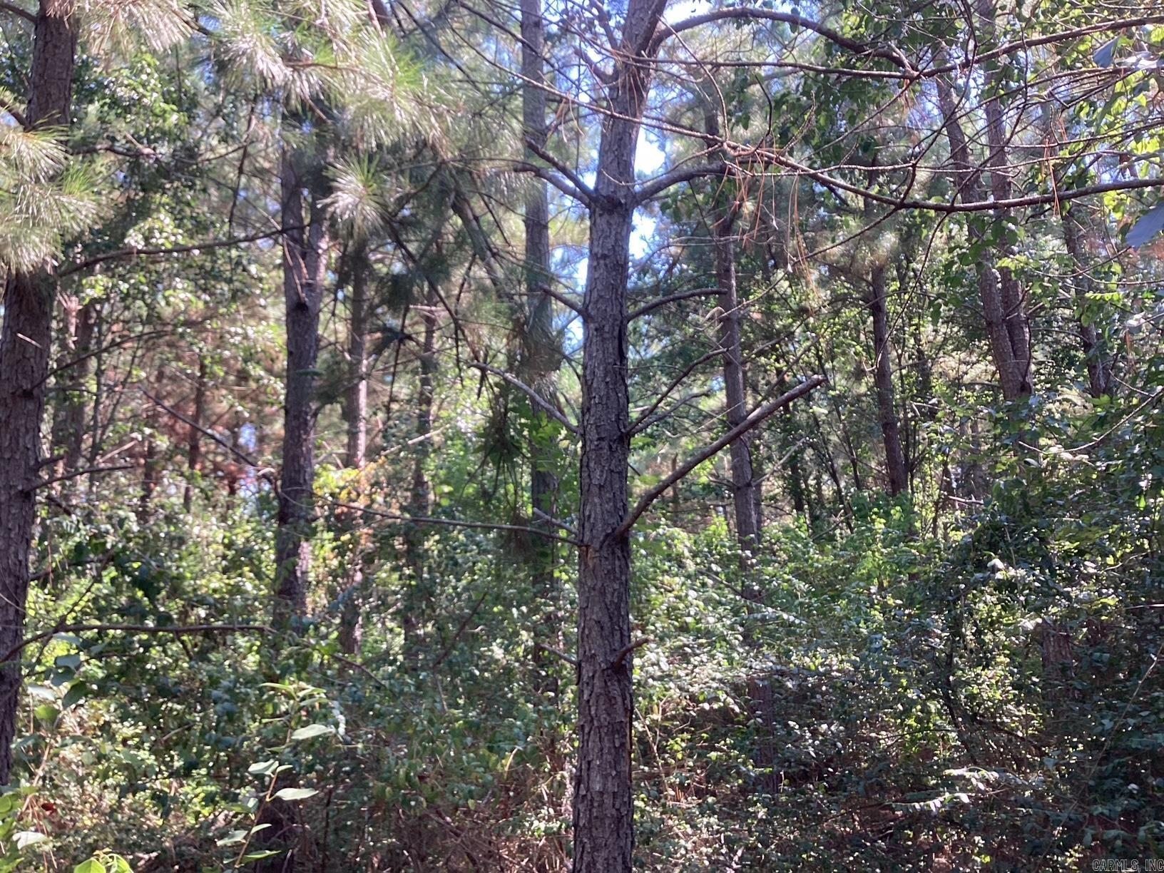  W Ave E. 41 acres  Hope, AR