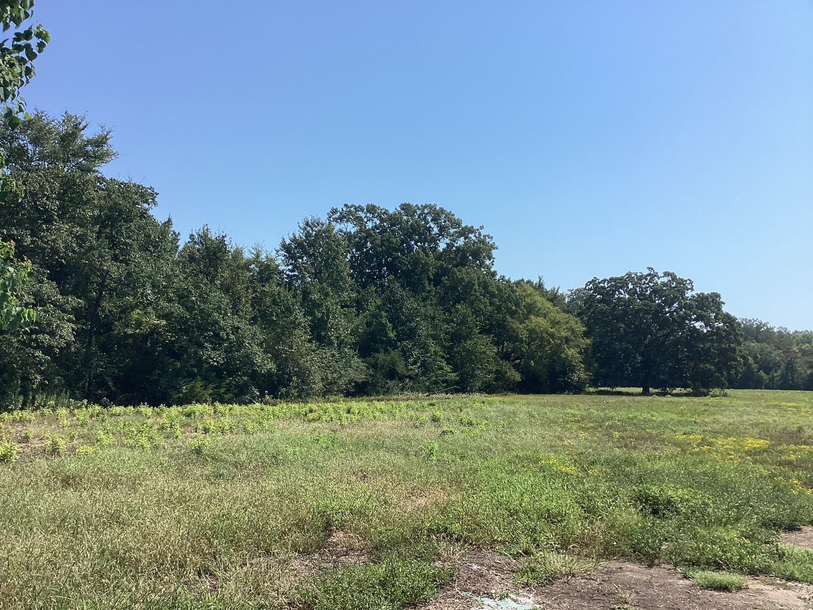  W Ave E. 41 acres  Hope, AR