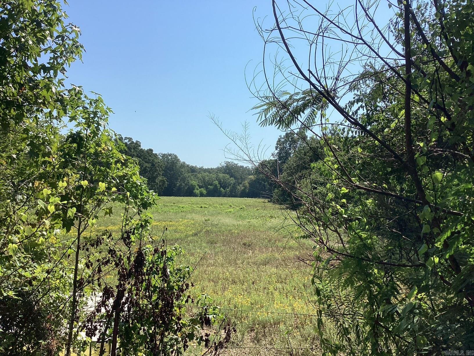  W Ave E. 41 acres  Hope, AR