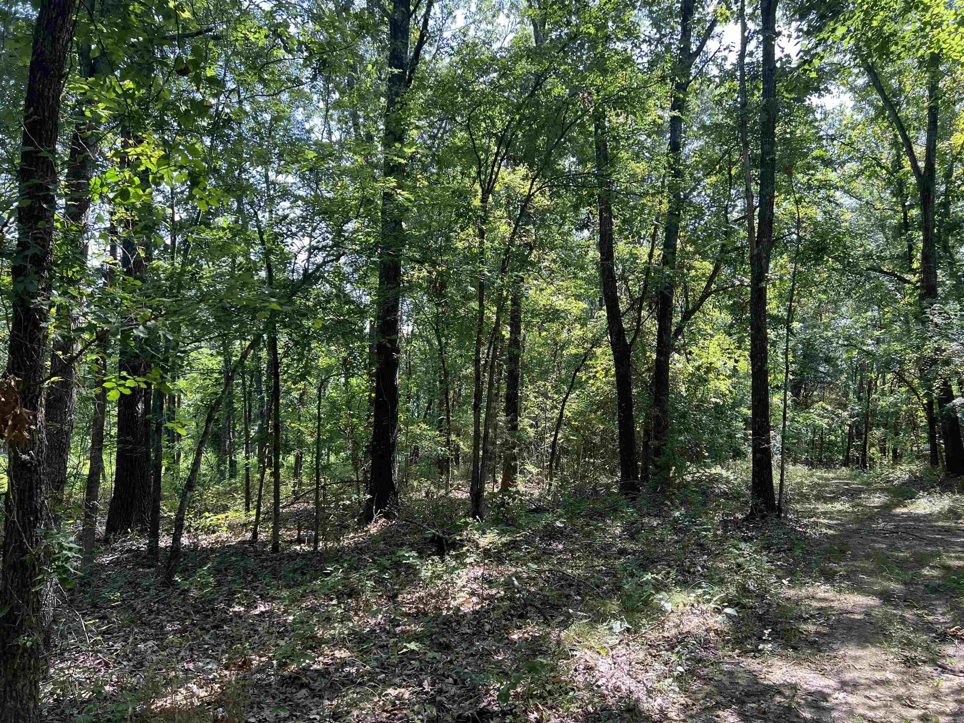 47 Cedar Creek  Harrison, AR