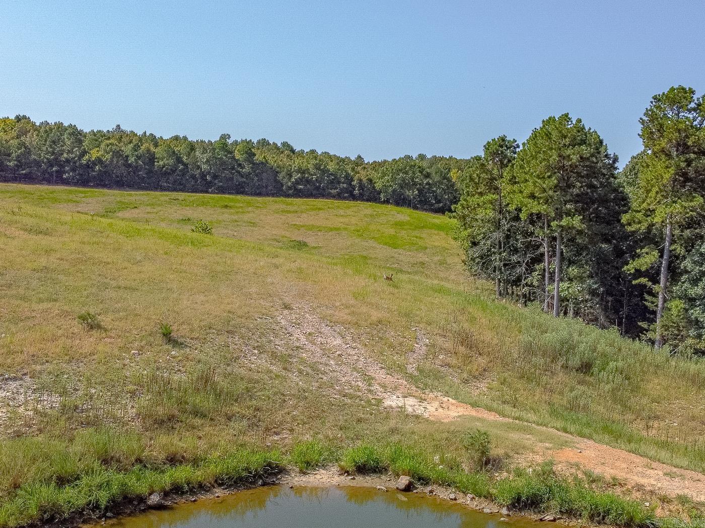 00 County Road 66  Calico Rock, AR