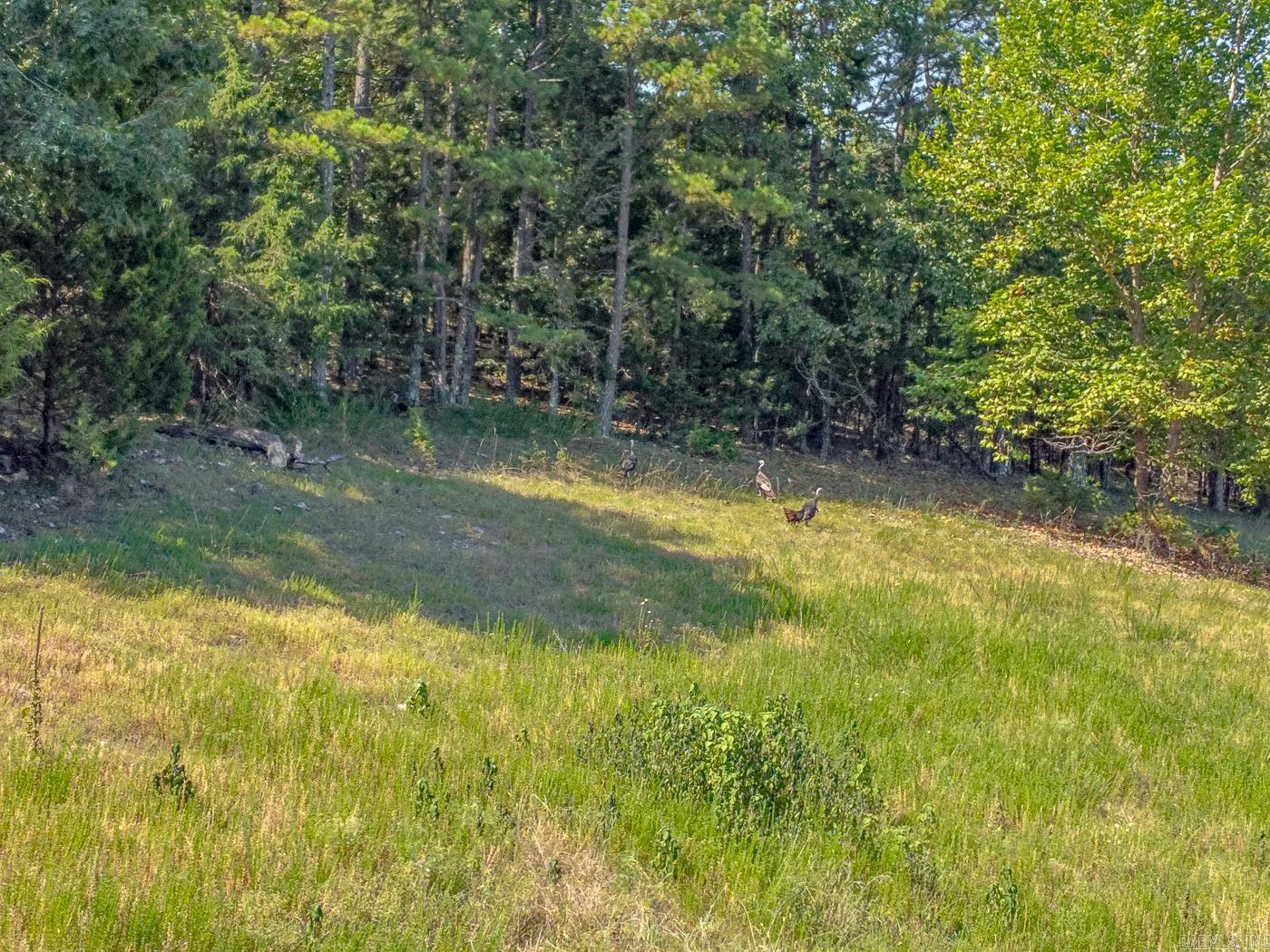 00 County Road 66  Calico Rock, AR