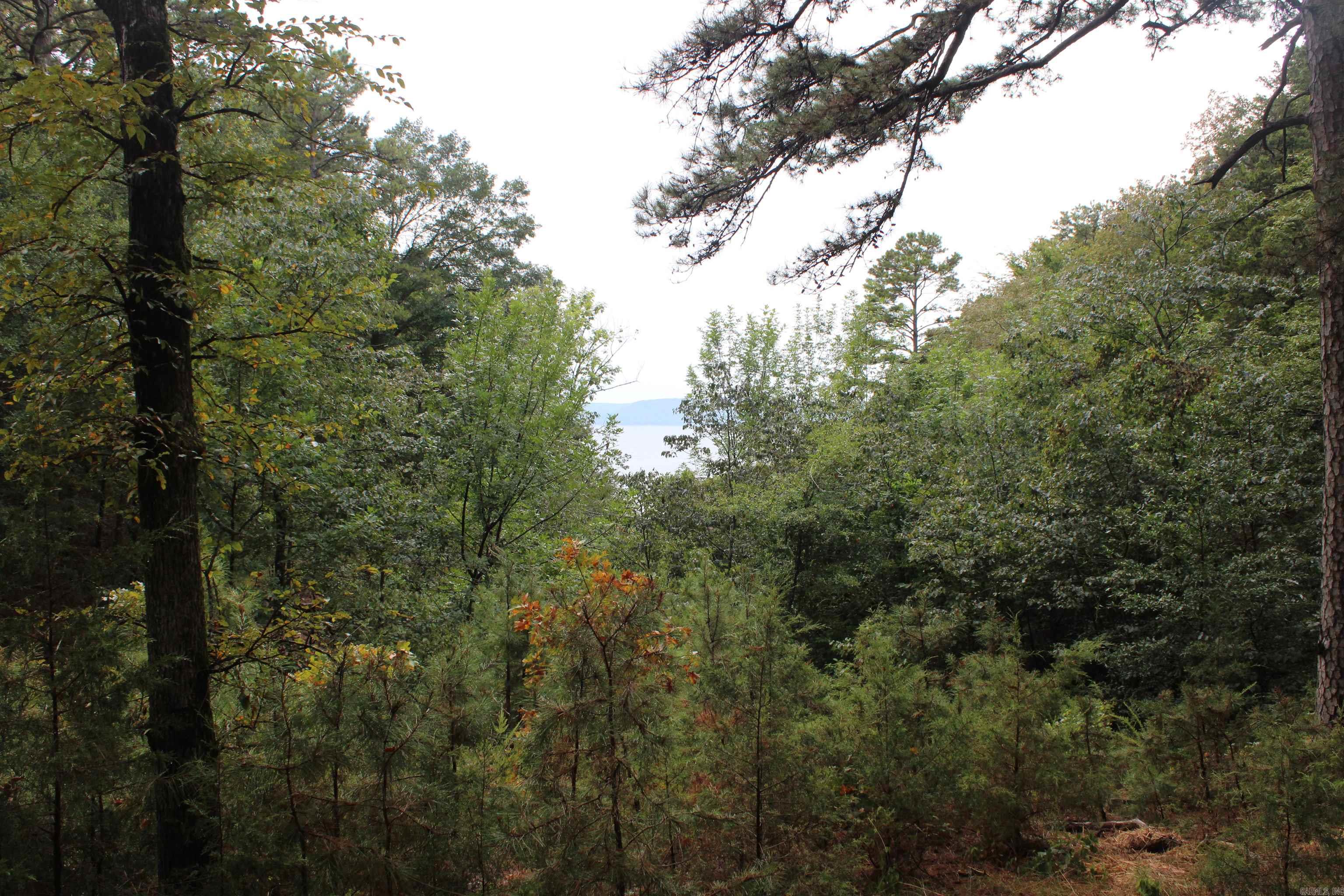 2090 Tannenbaum Rd  Drasco, AR