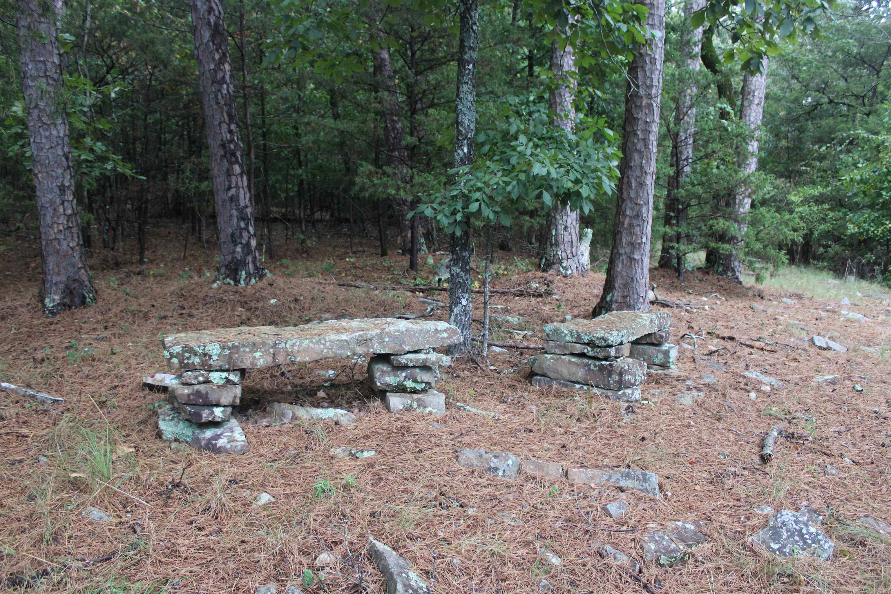 2090 Tannenbaum Rd  Drasco, AR