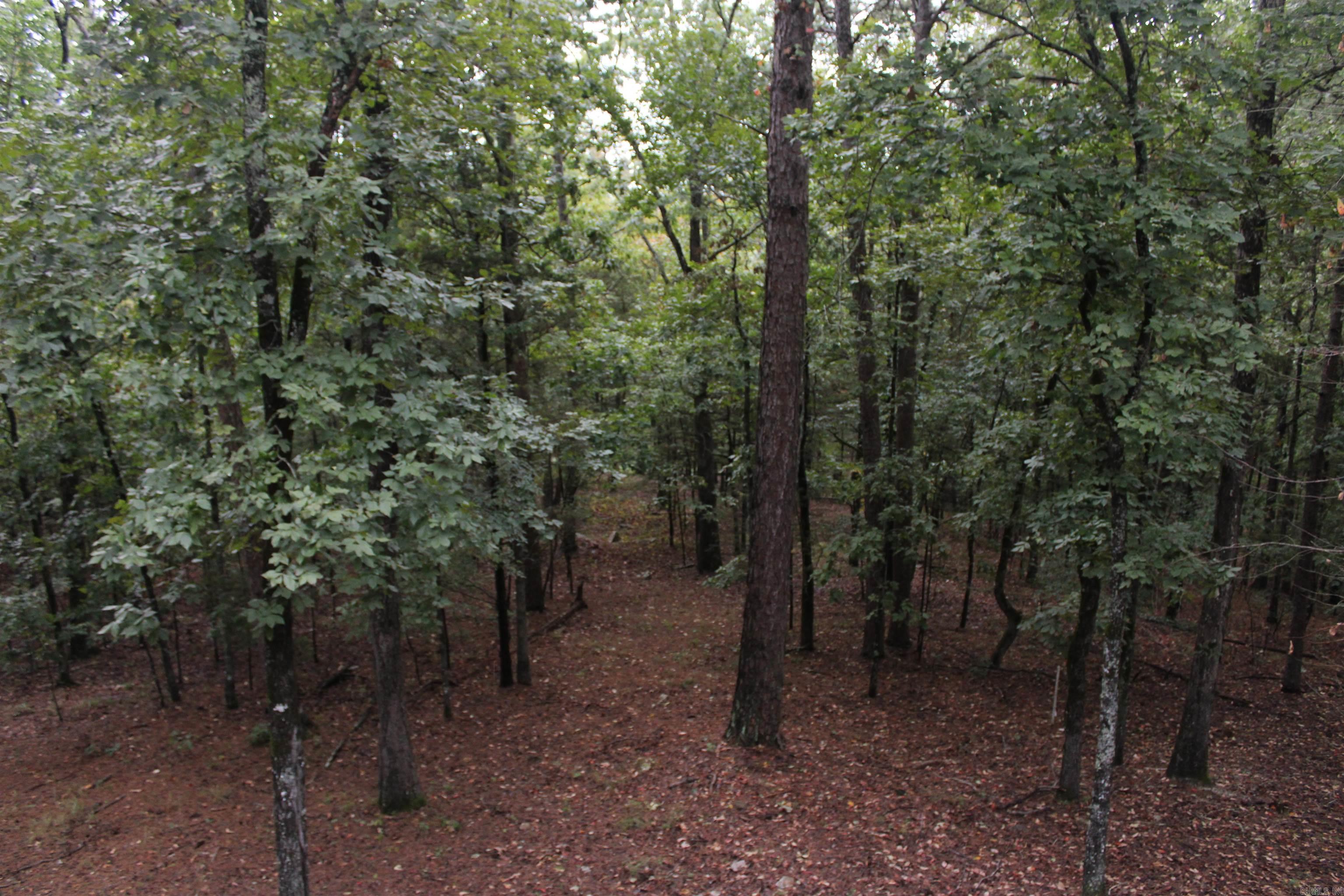 2090 Tannenbaum Rd  Drasco, AR