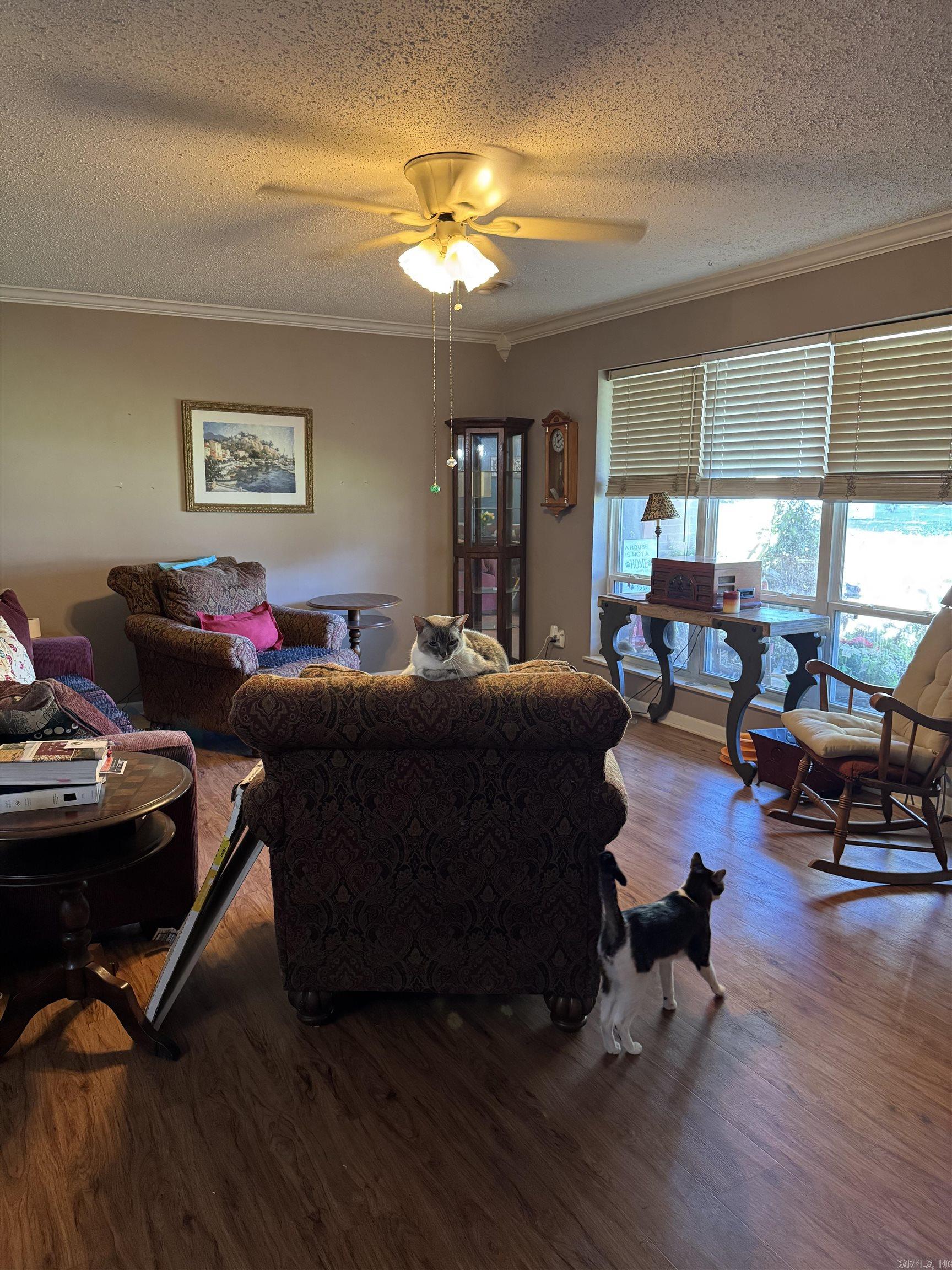 591 Valarie Ln  Piggott, AR