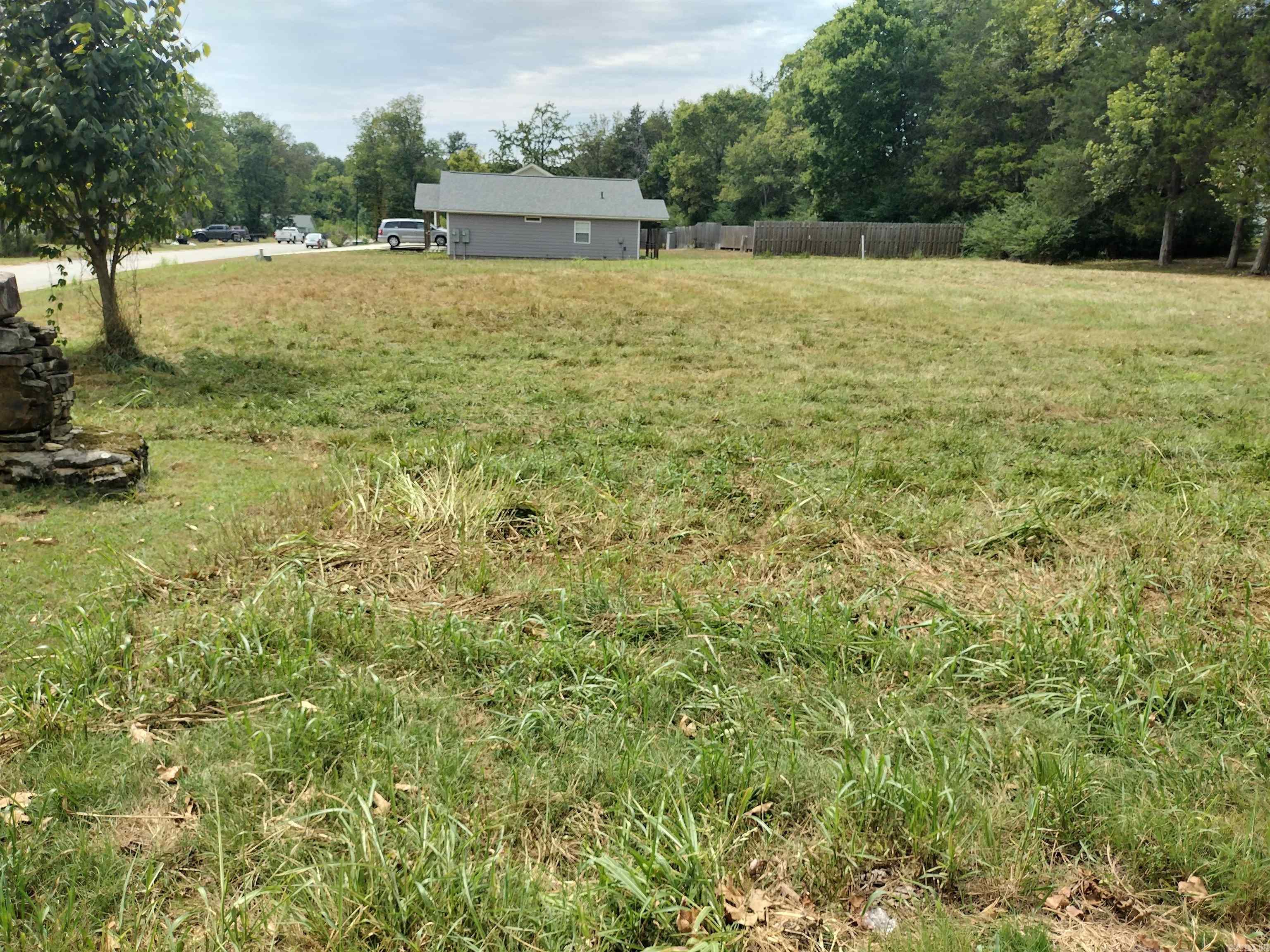 0 Frances Cove  Mountain View, AR