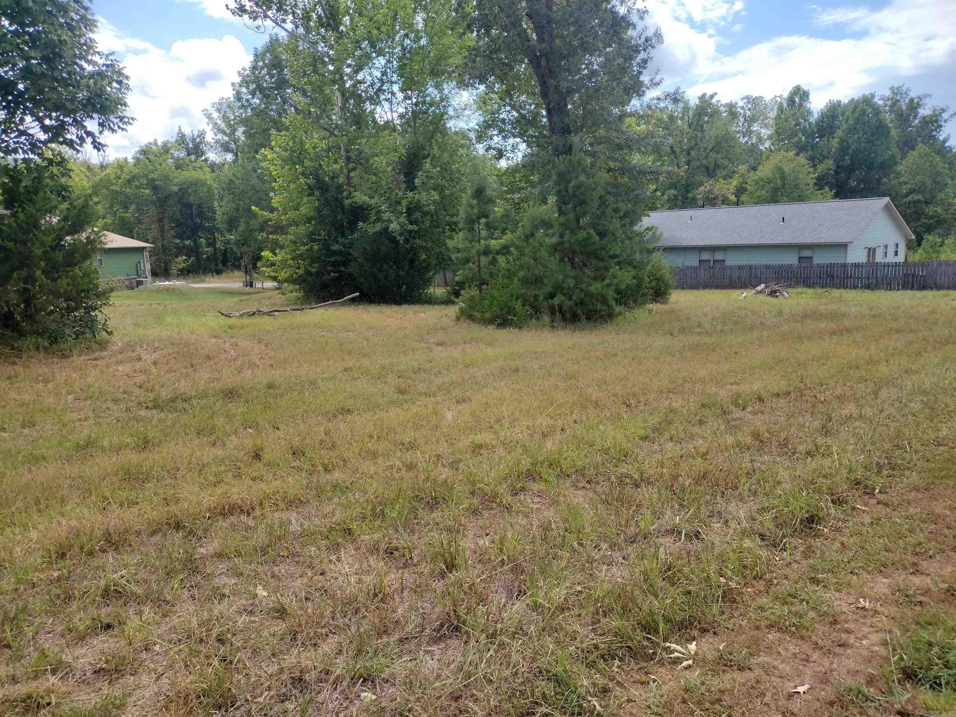 000 Frances Cove  Mountain View, AR