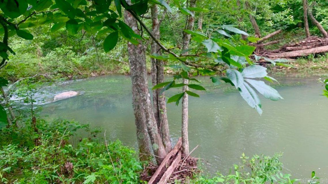 1602 Turkey Creek  Mountain View, AR