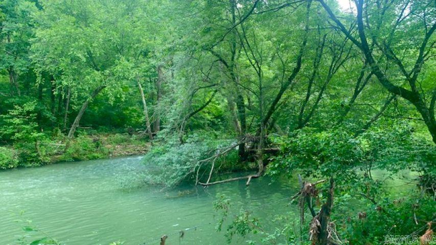 1602 Turkey Creek  Mountain View, AR