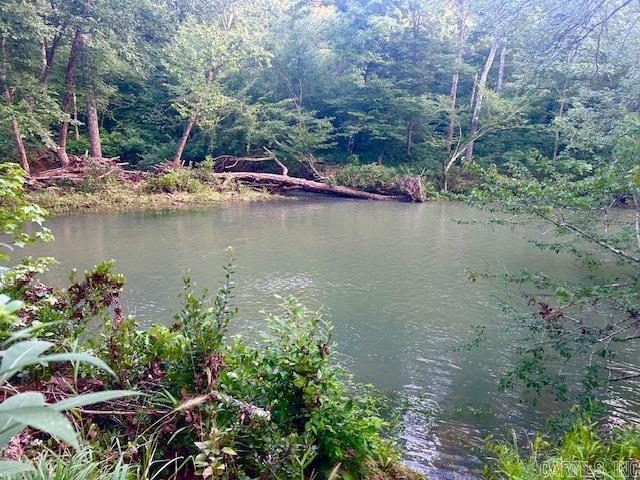 1602 Turkey Creek  Mountain View, AR