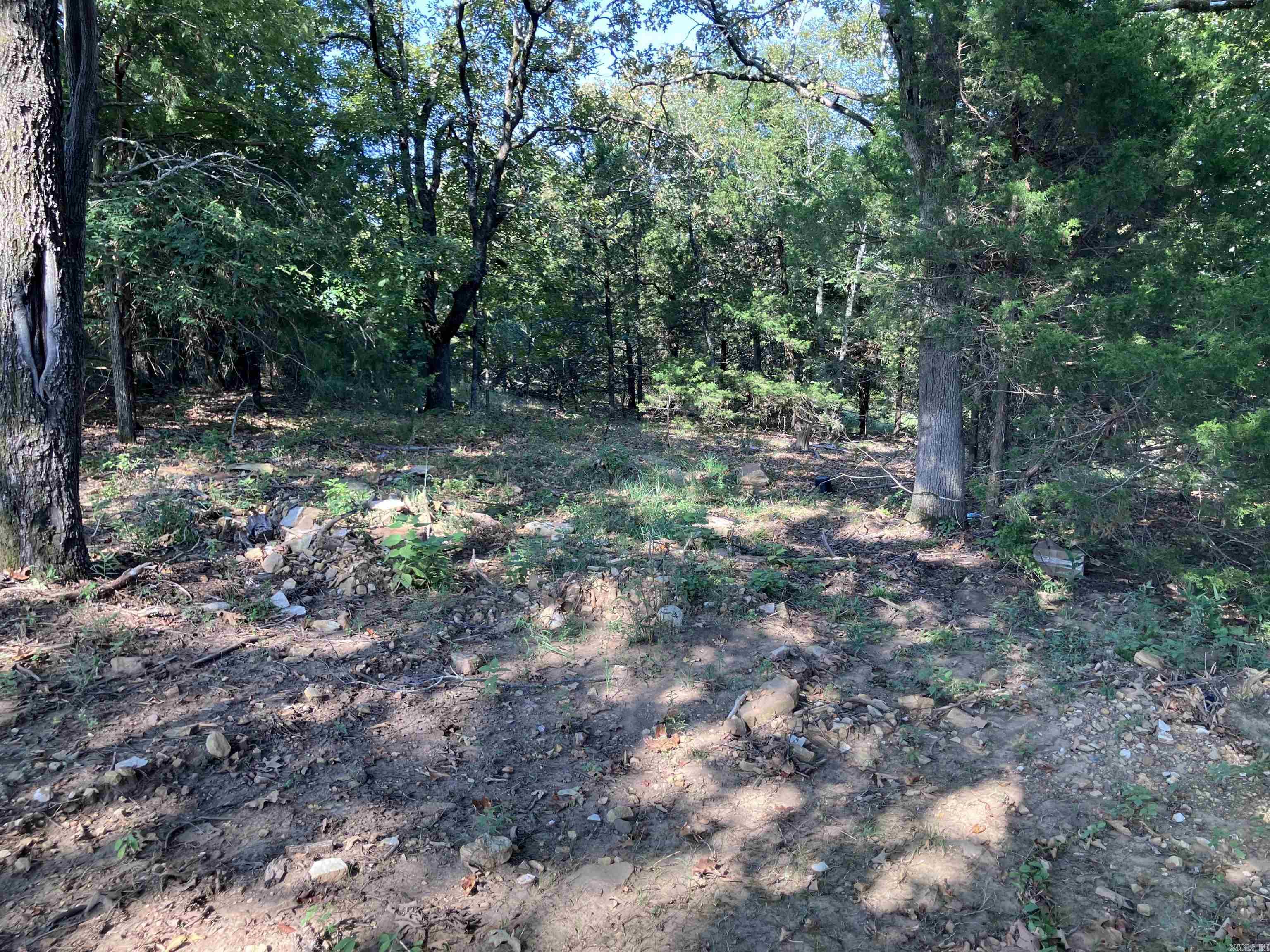 113 Hudson Ridge  Bald Knob, AR