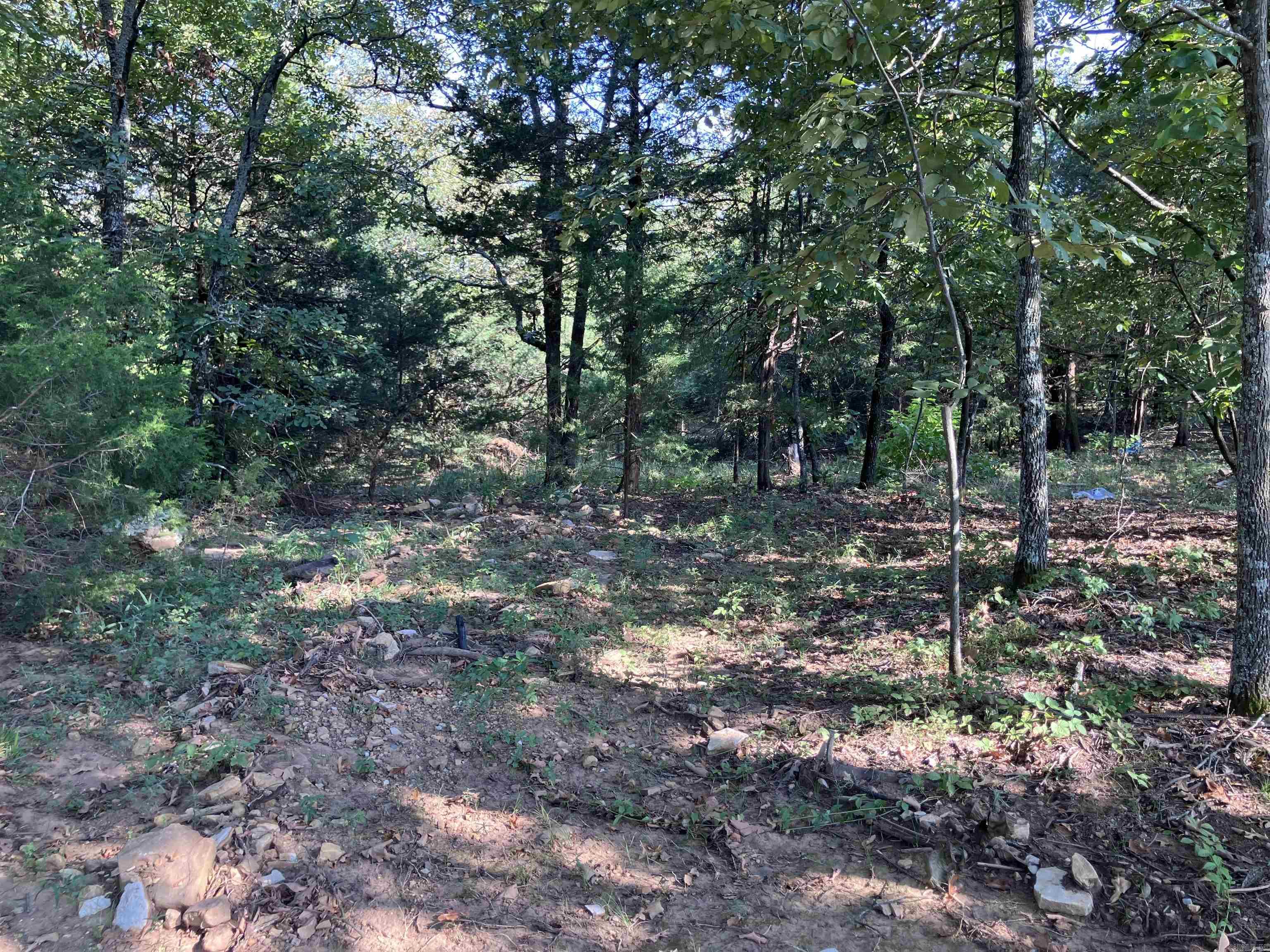 113 Hudson Ridge  Bald Knob, AR