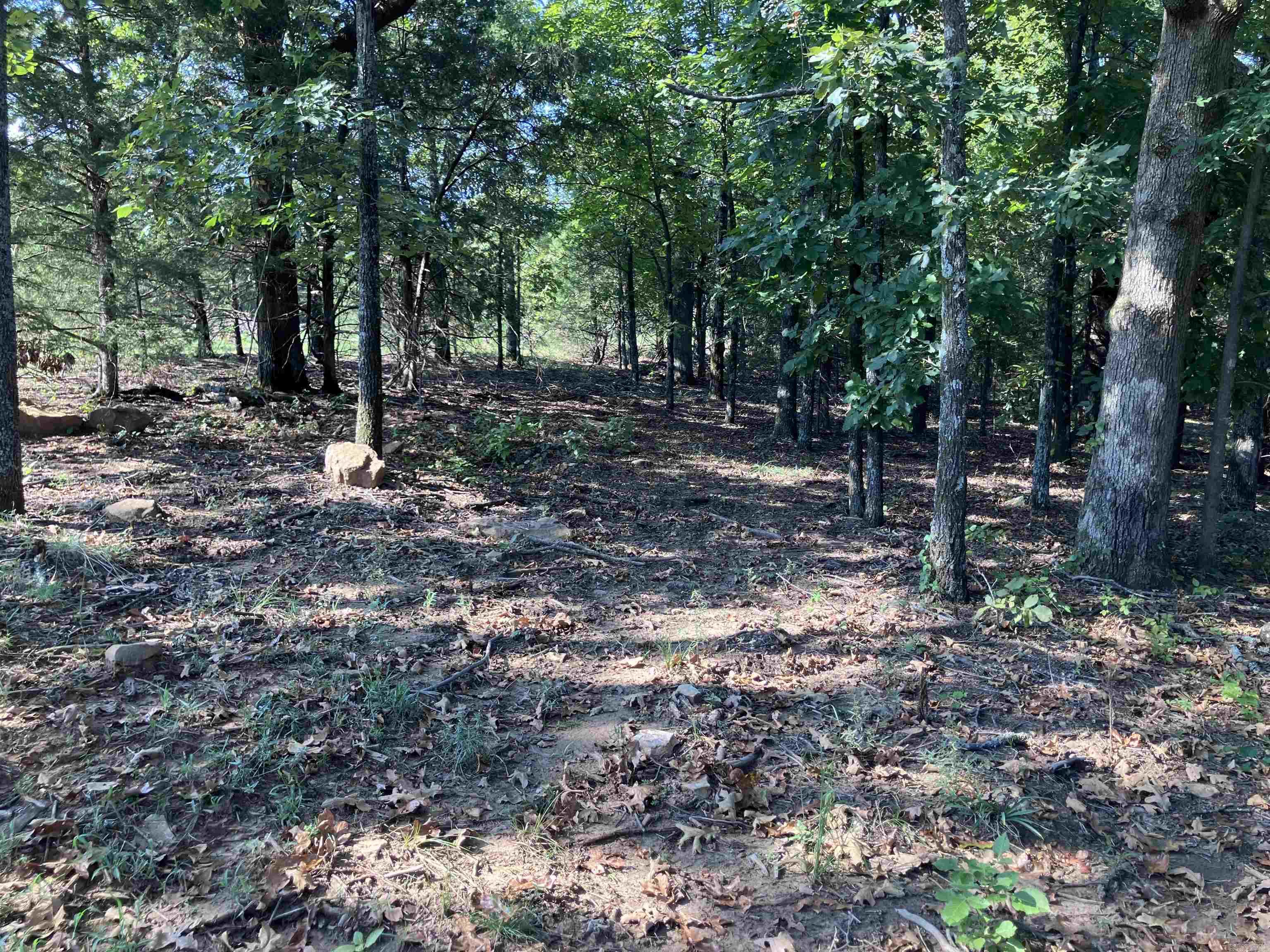 113 Hudson Ridge  Bald Knob, AR