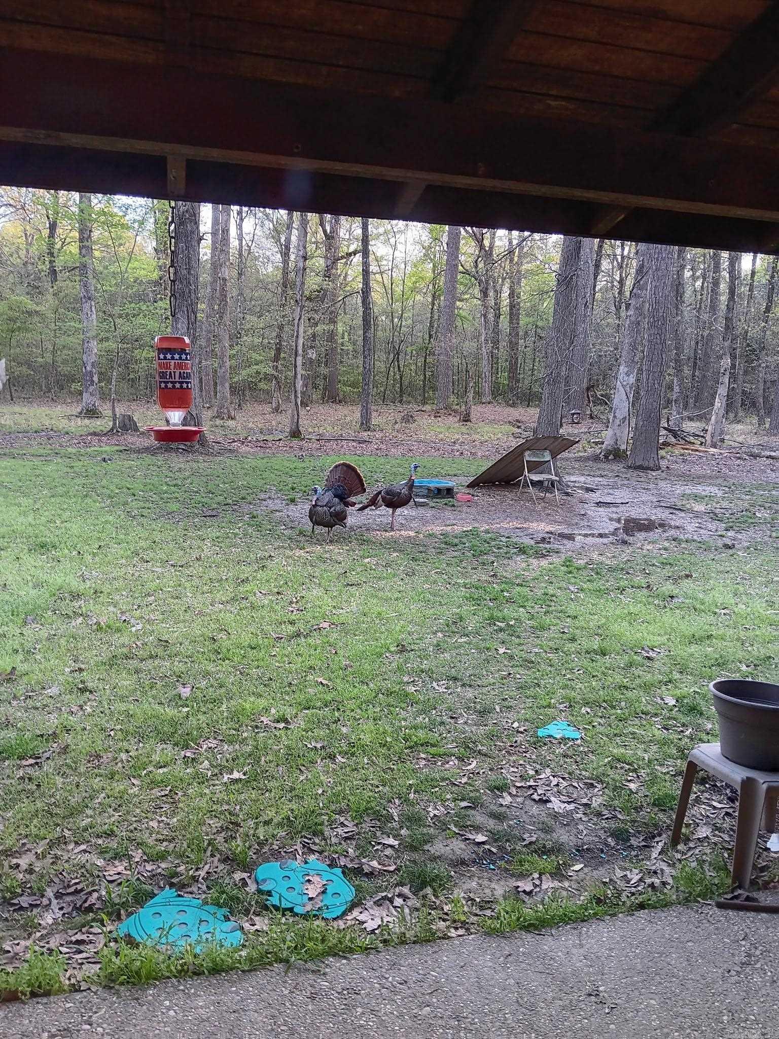 2701 Highway 35  Monticello, AR