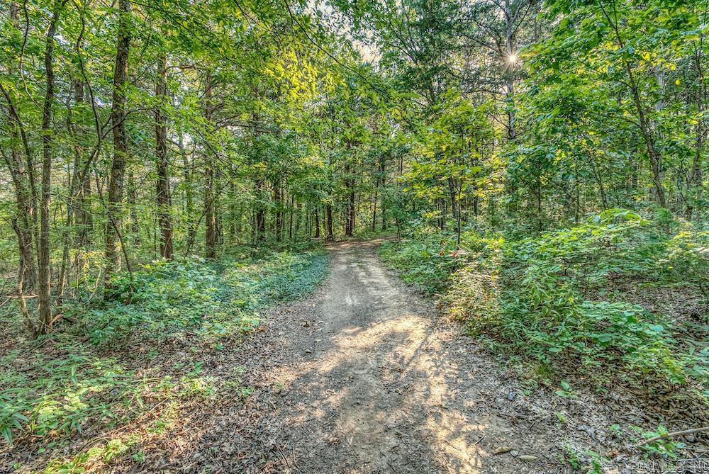 2674 MC 7055 Flippin, AR 72634