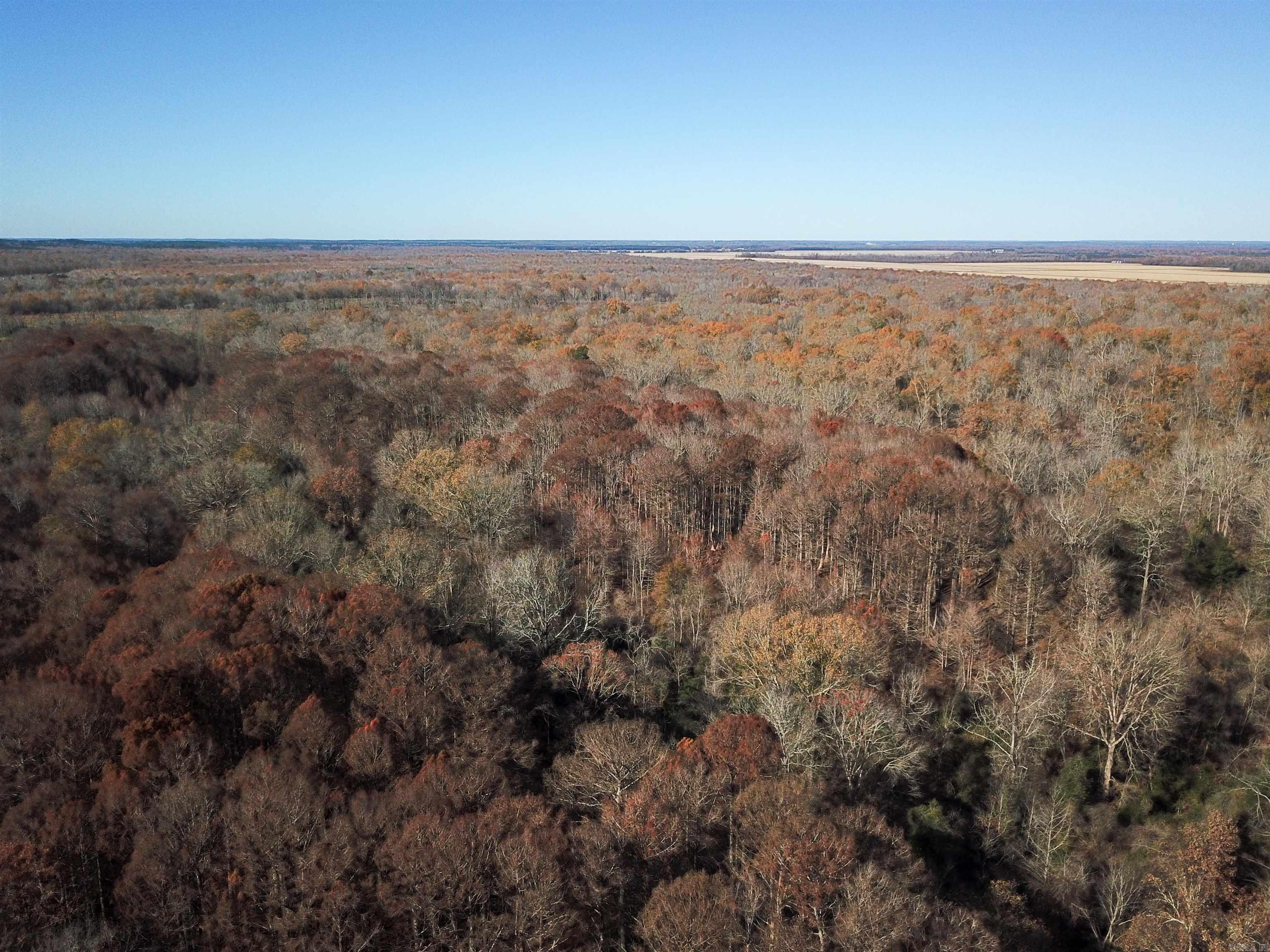 0000 White Oak  Arkadelphia, AR