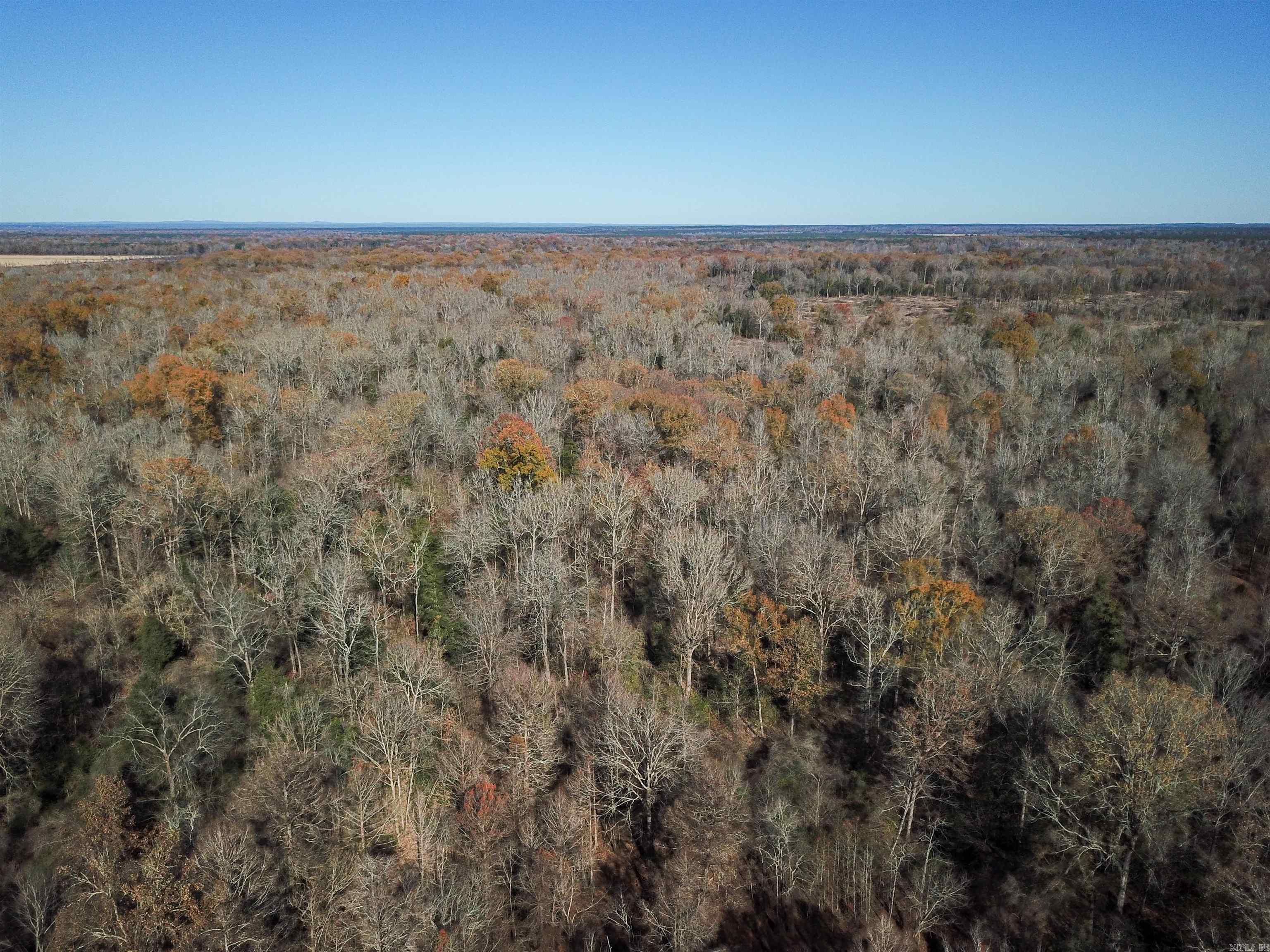 0000 White Oak  Arkadelphia, AR