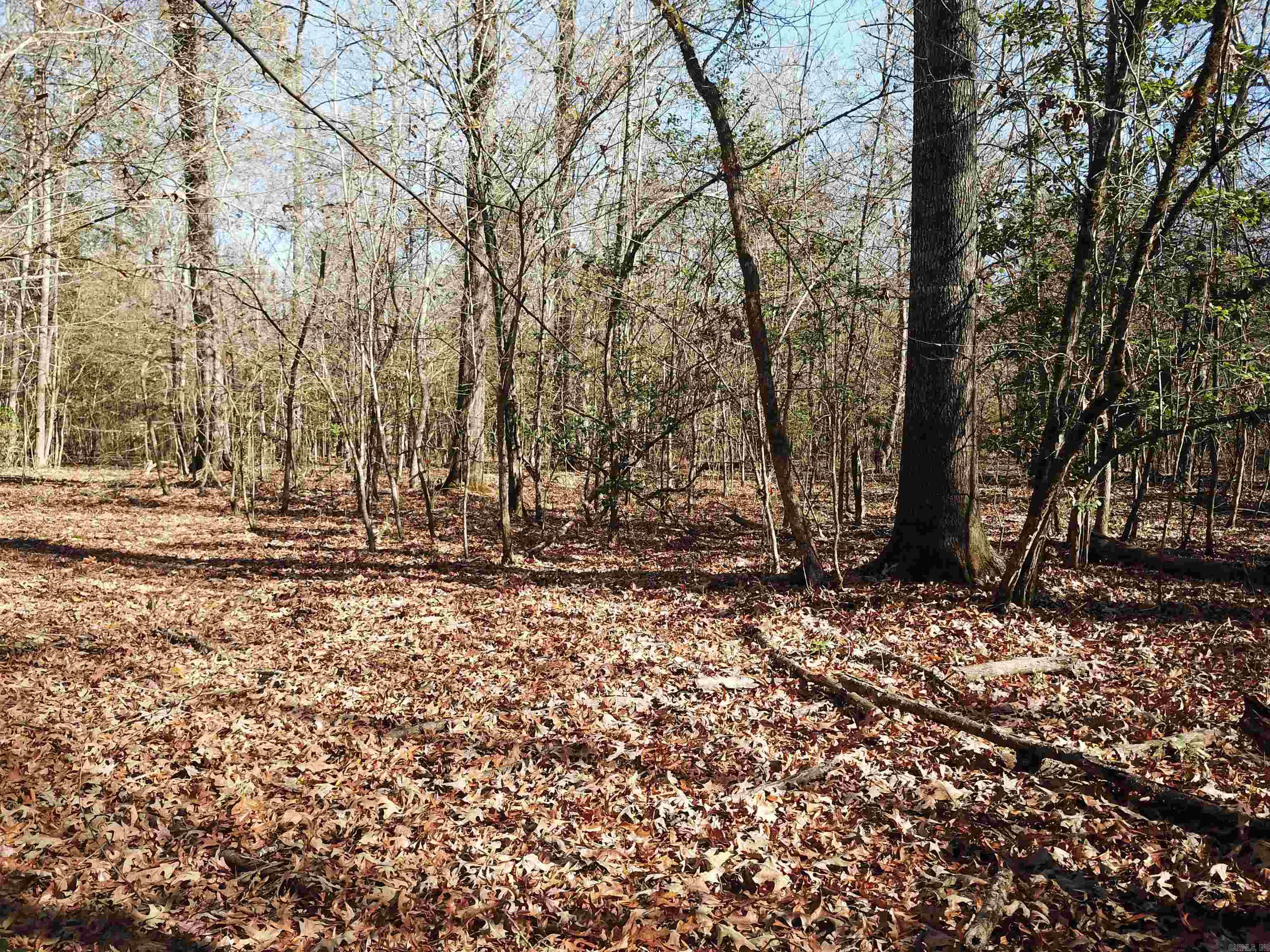 0000 White Oak  Arkadelphia, AR