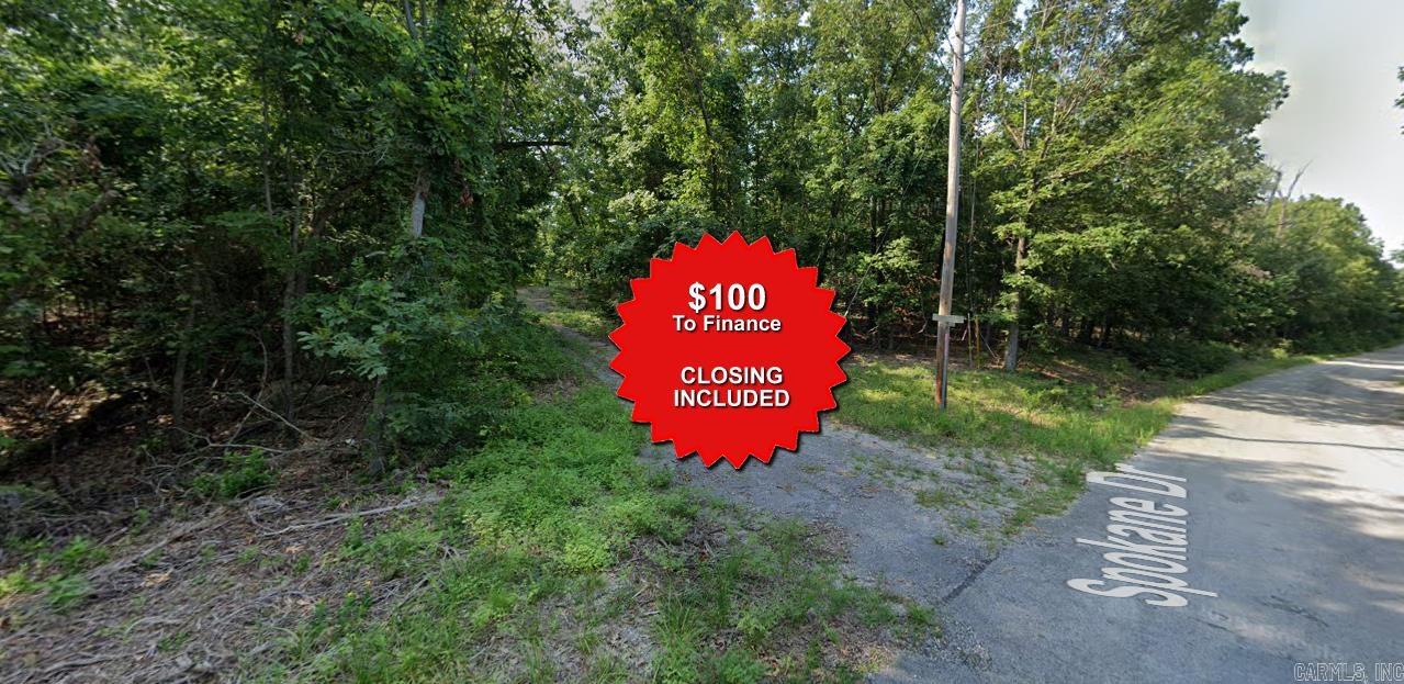 Lot 11 Winooski  Cherokee Village, AR