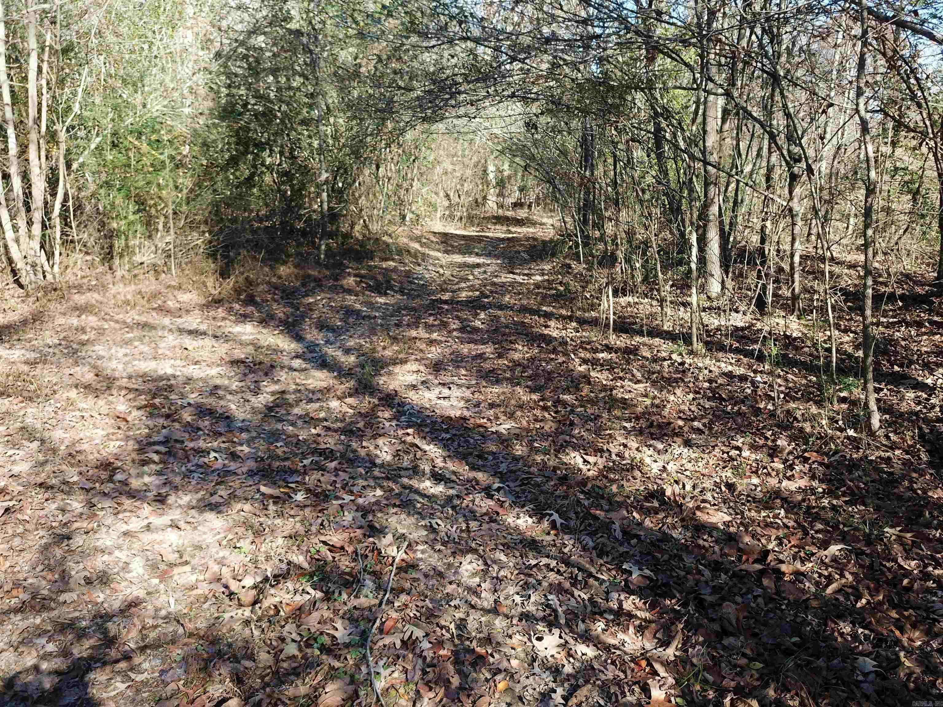 000 White Oak Slough  Arkadelphia, AR