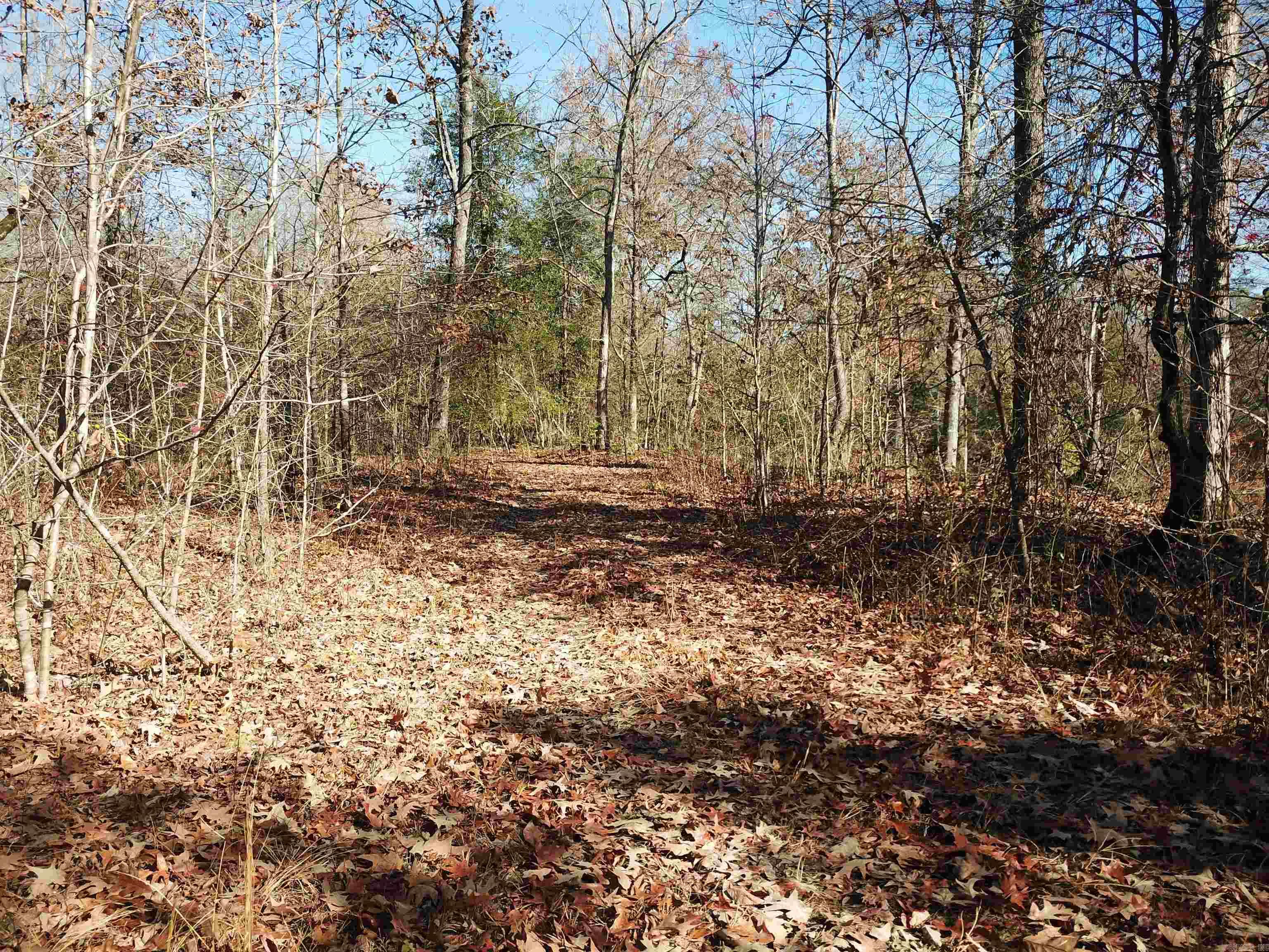 000 White Oak Slough  Arkadelphia, AR