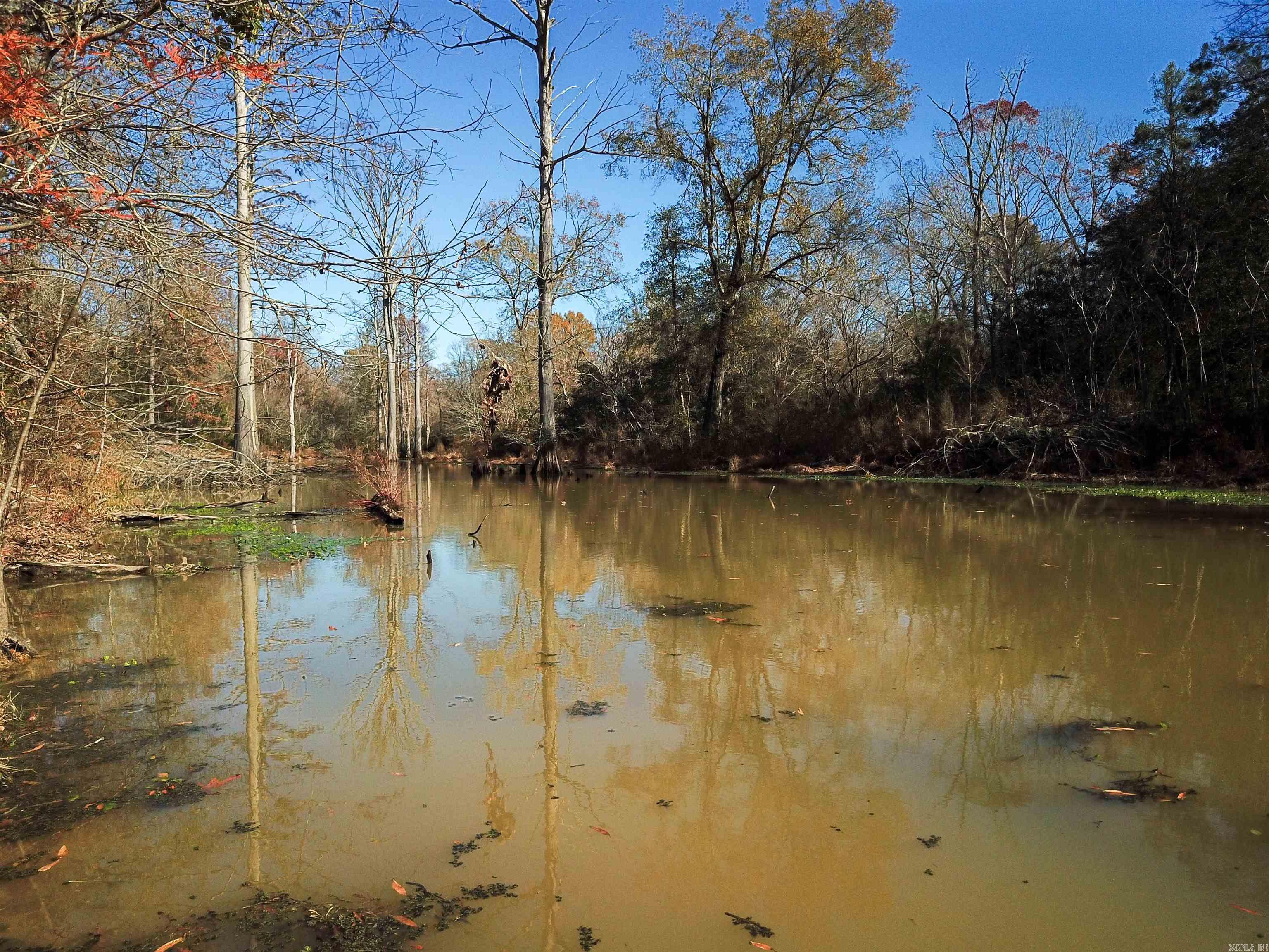 000 White Oak Slough  Arkadelphia, AR
