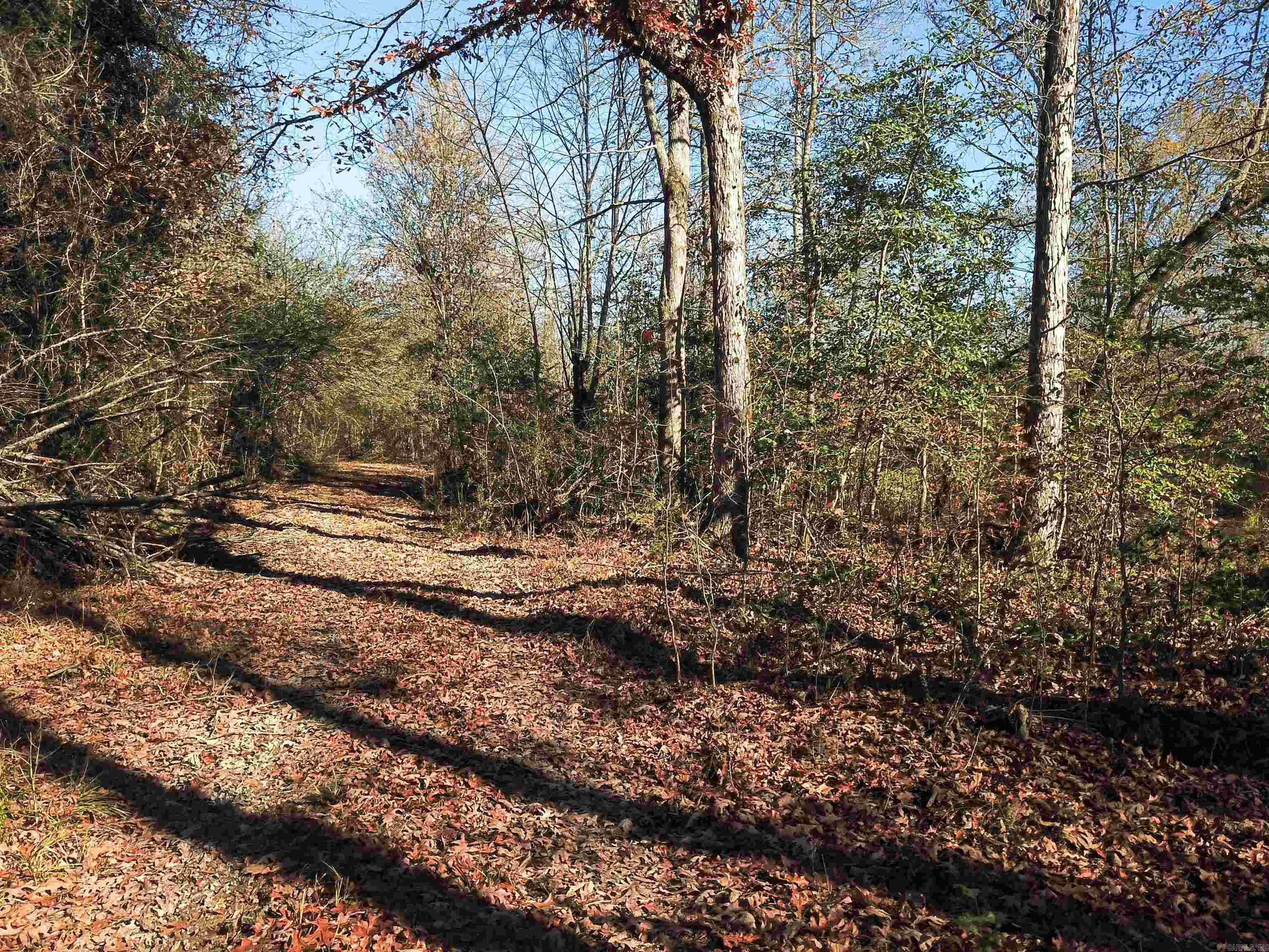 000 White Oak Slough  Arkadelphia, AR