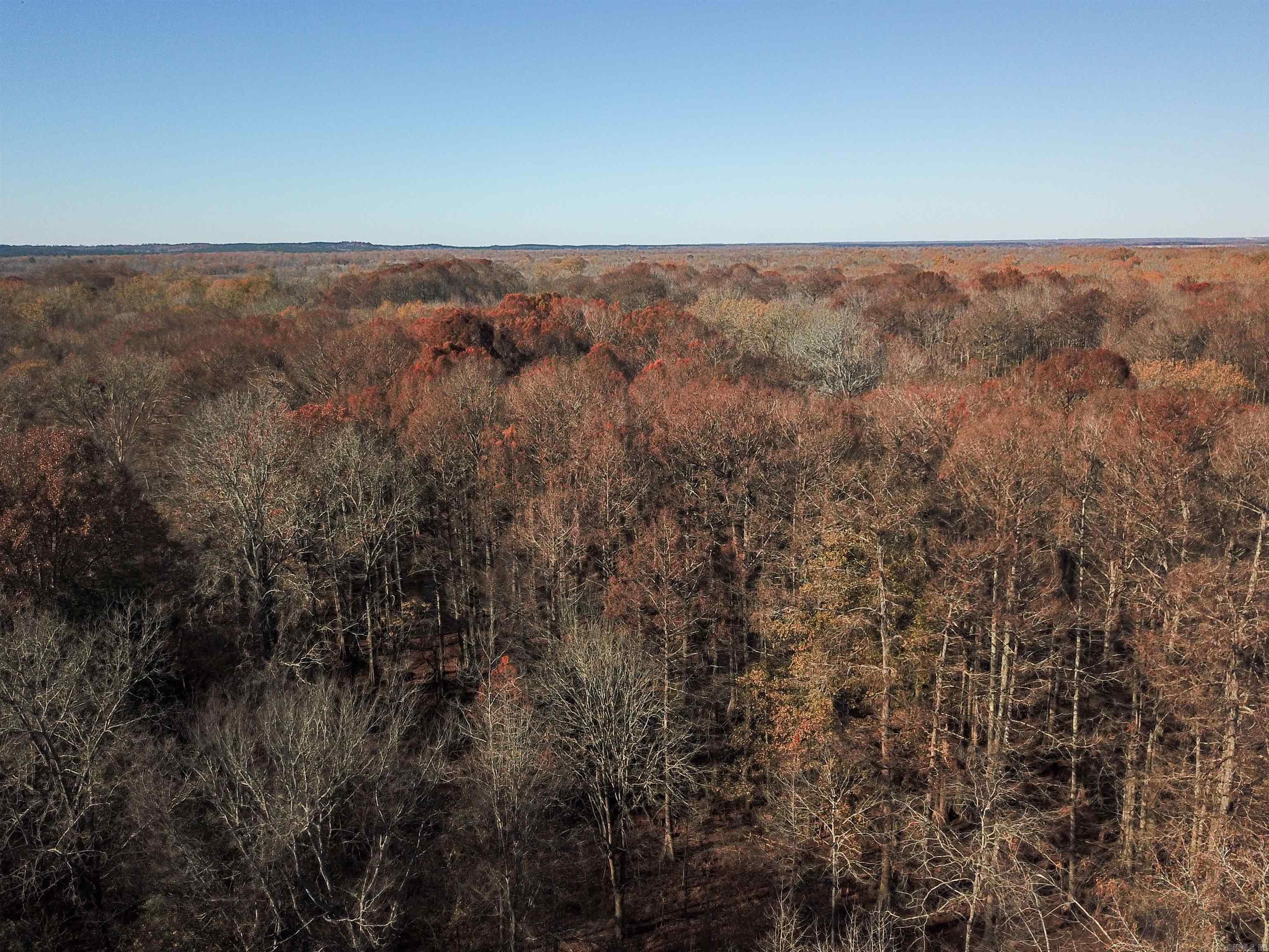 000 White Oak Slough  Arkadelphia, AR