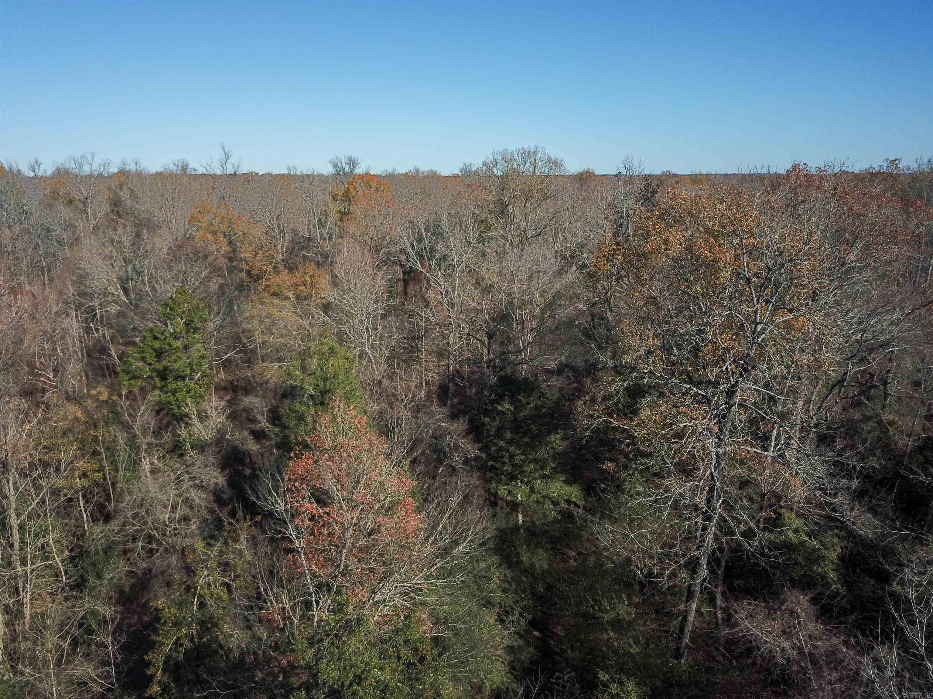 000 White Oak Slough  Arkadelphia, AR