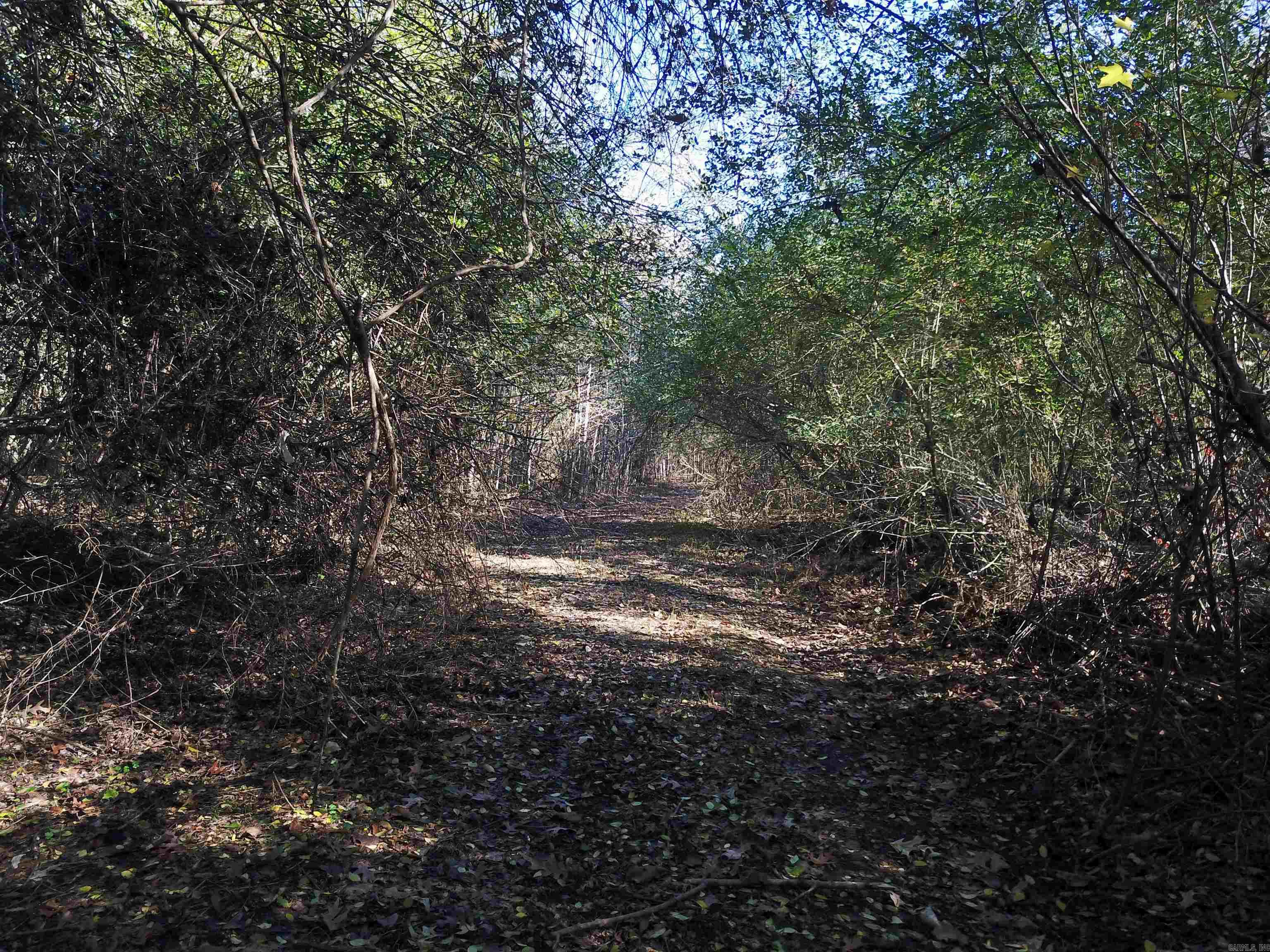 000 White Oak Slough  Arkadelphia, AR