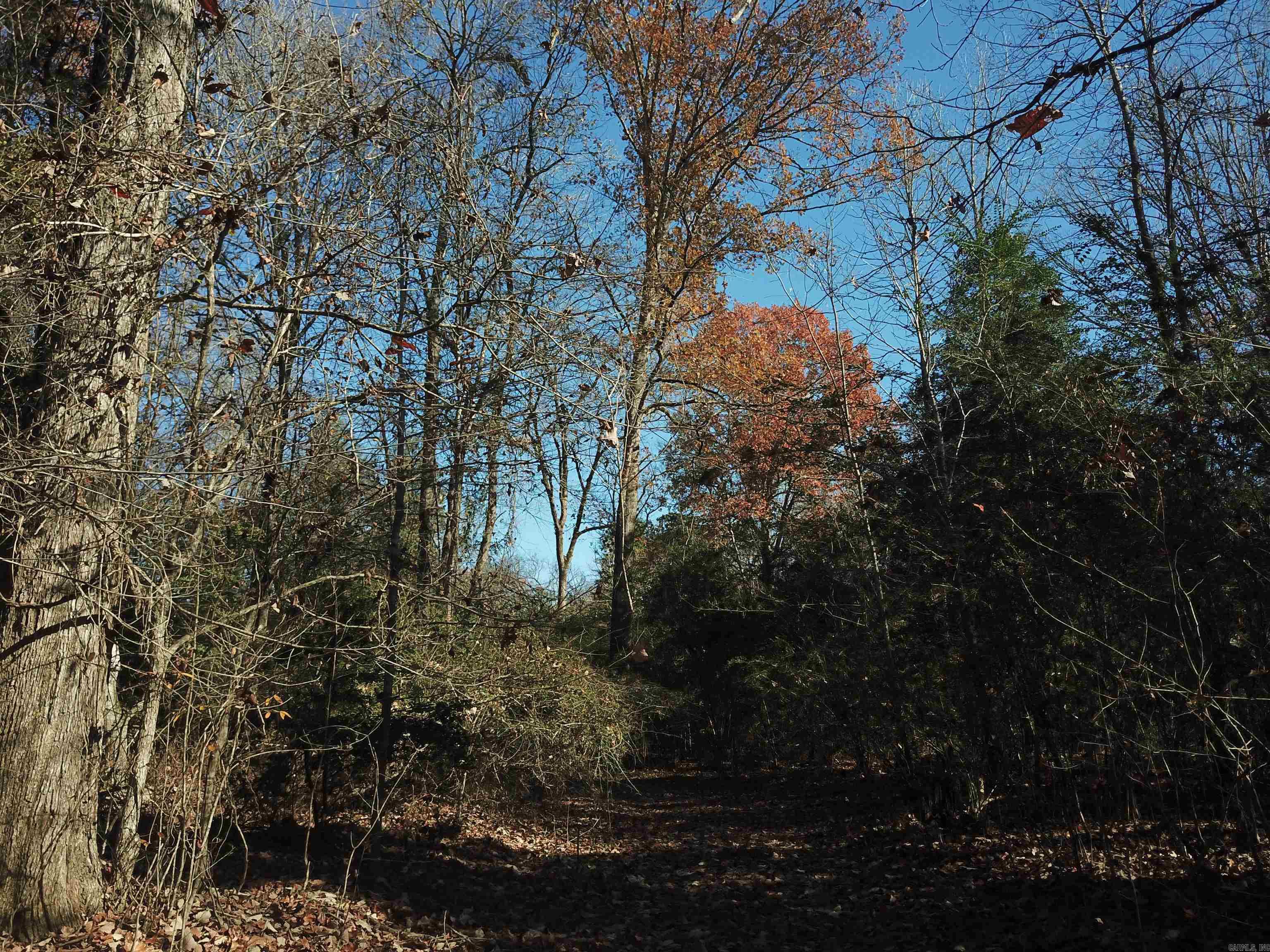 000 White Oak Slough  Arkadelphia, AR