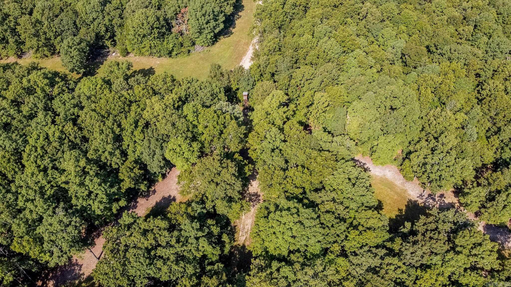 314 Bear Bluff Trail Ravenden, AR 72459