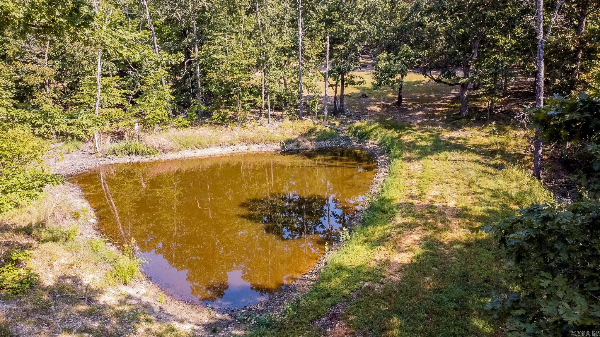 314 Bear Bluff Trail Ravenden, AR 72459