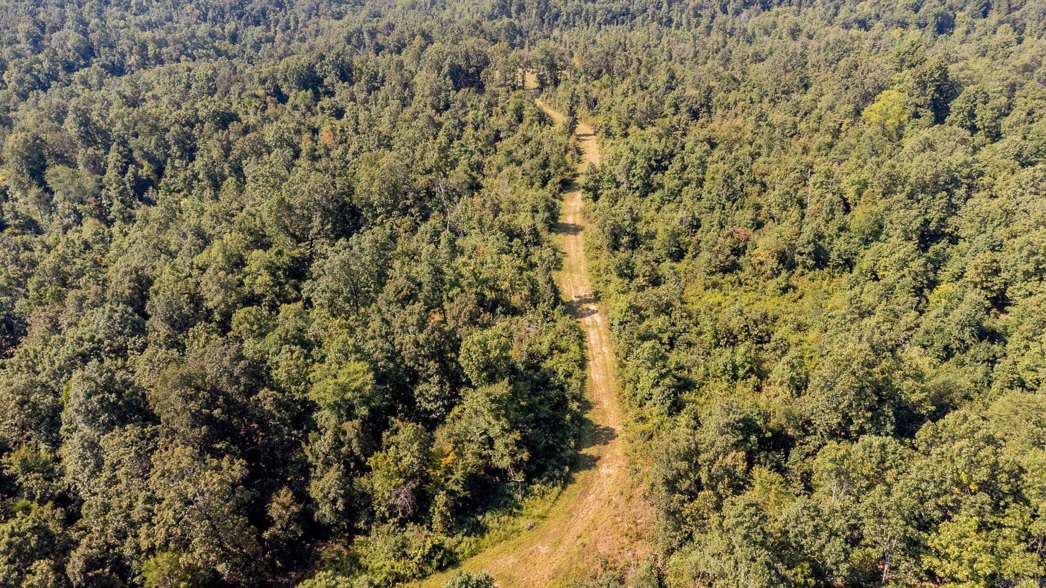 314 Bear Bluff Trail Ravenden, AR 72459