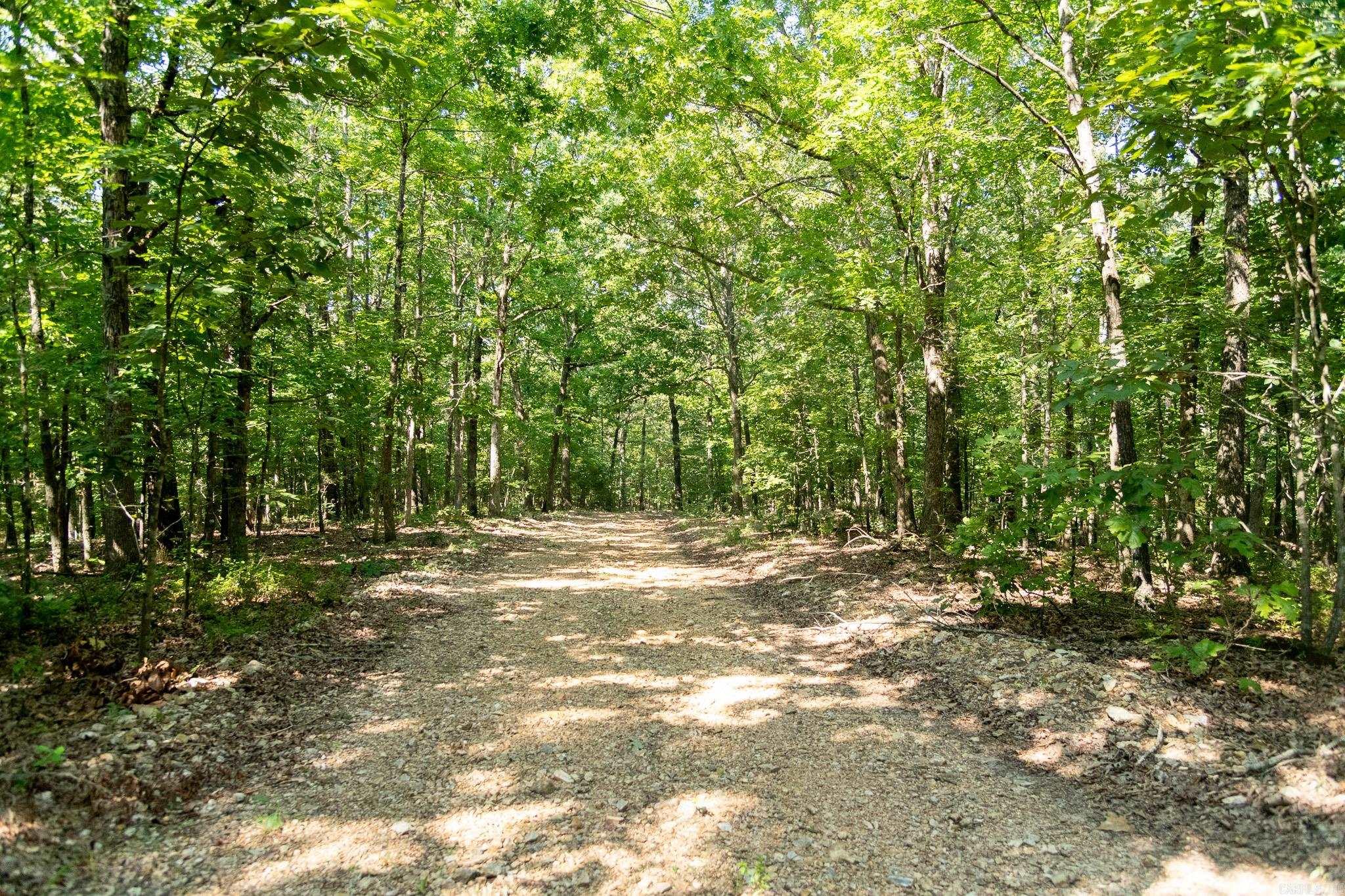 314 Bear Bluff Trail Ravenden, AR 72459