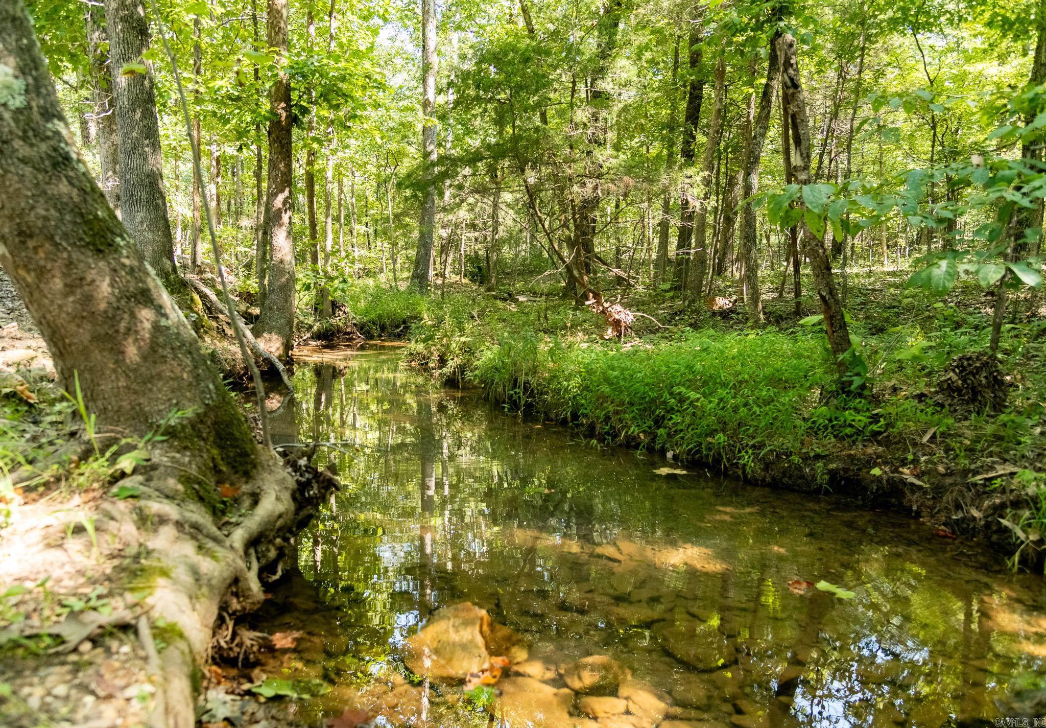 314 Bear Bluff Trail Ravenden, AR 72459