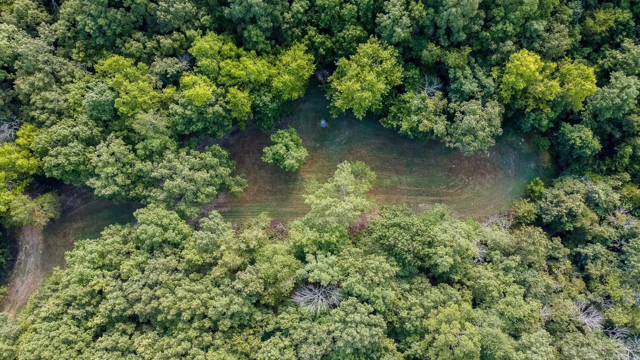 314 Bear Bluff Trail Ravenden, AR 72459