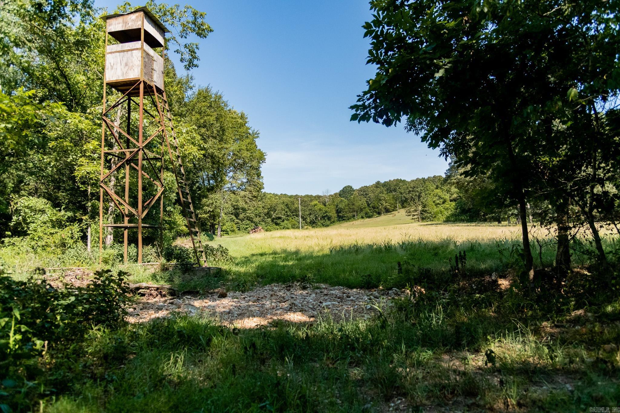 314 Bear Bluff Trail Ravenden, AR 72459