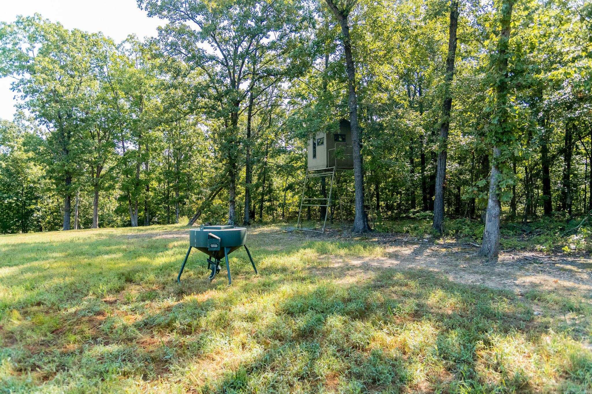 314 Bear Bluff Trail Ravenden, AR 72459