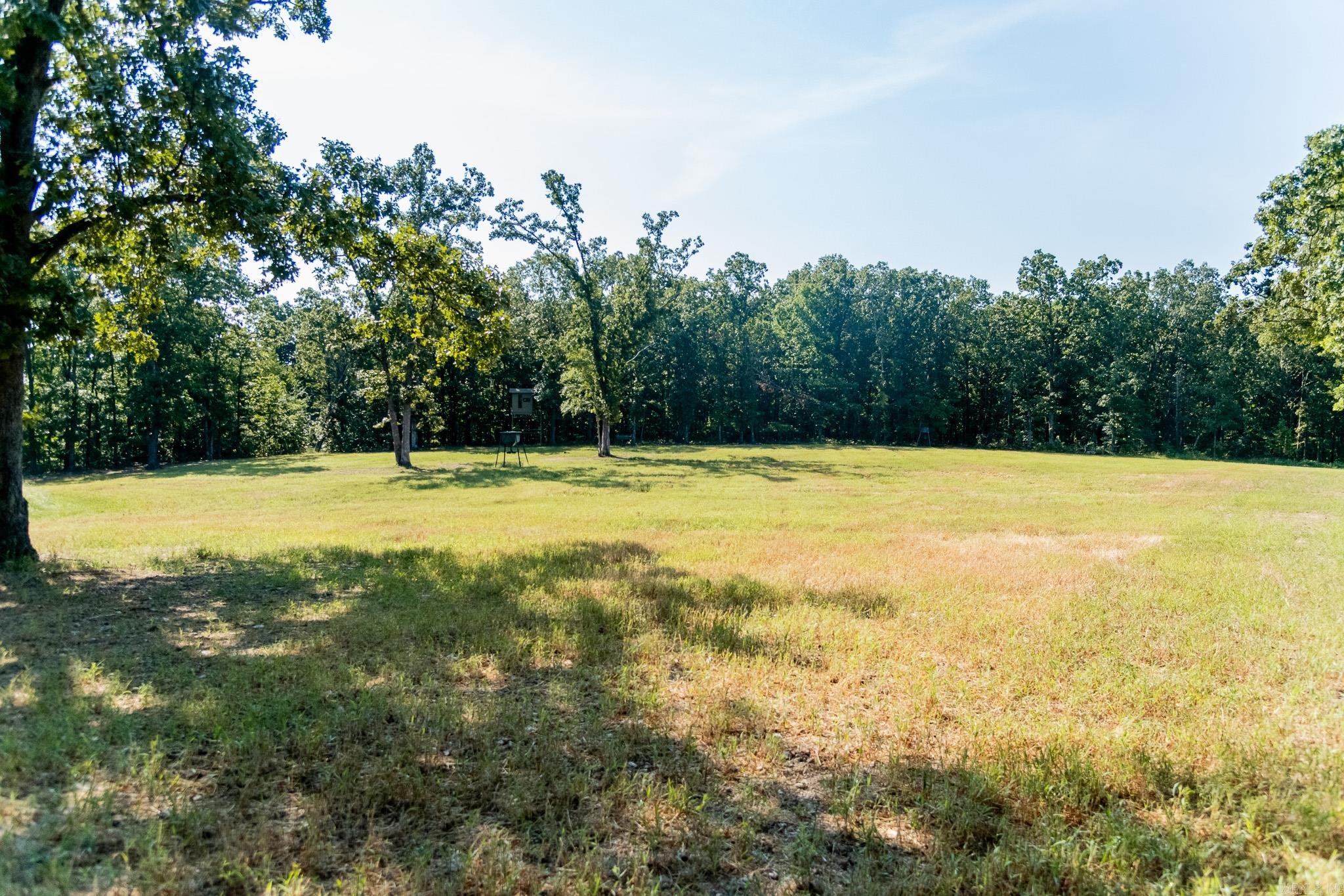 314 Bear Bluff Trail Ravenden, AR 72459