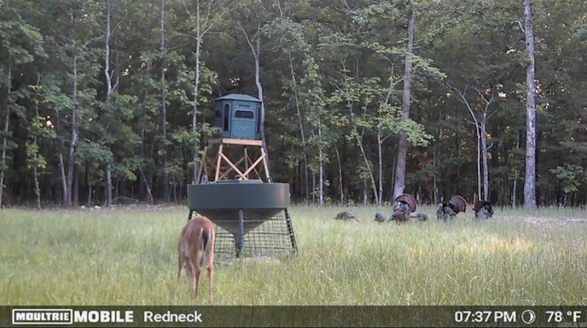 314 Bear Bluff Trail Ravenden, AR 72459