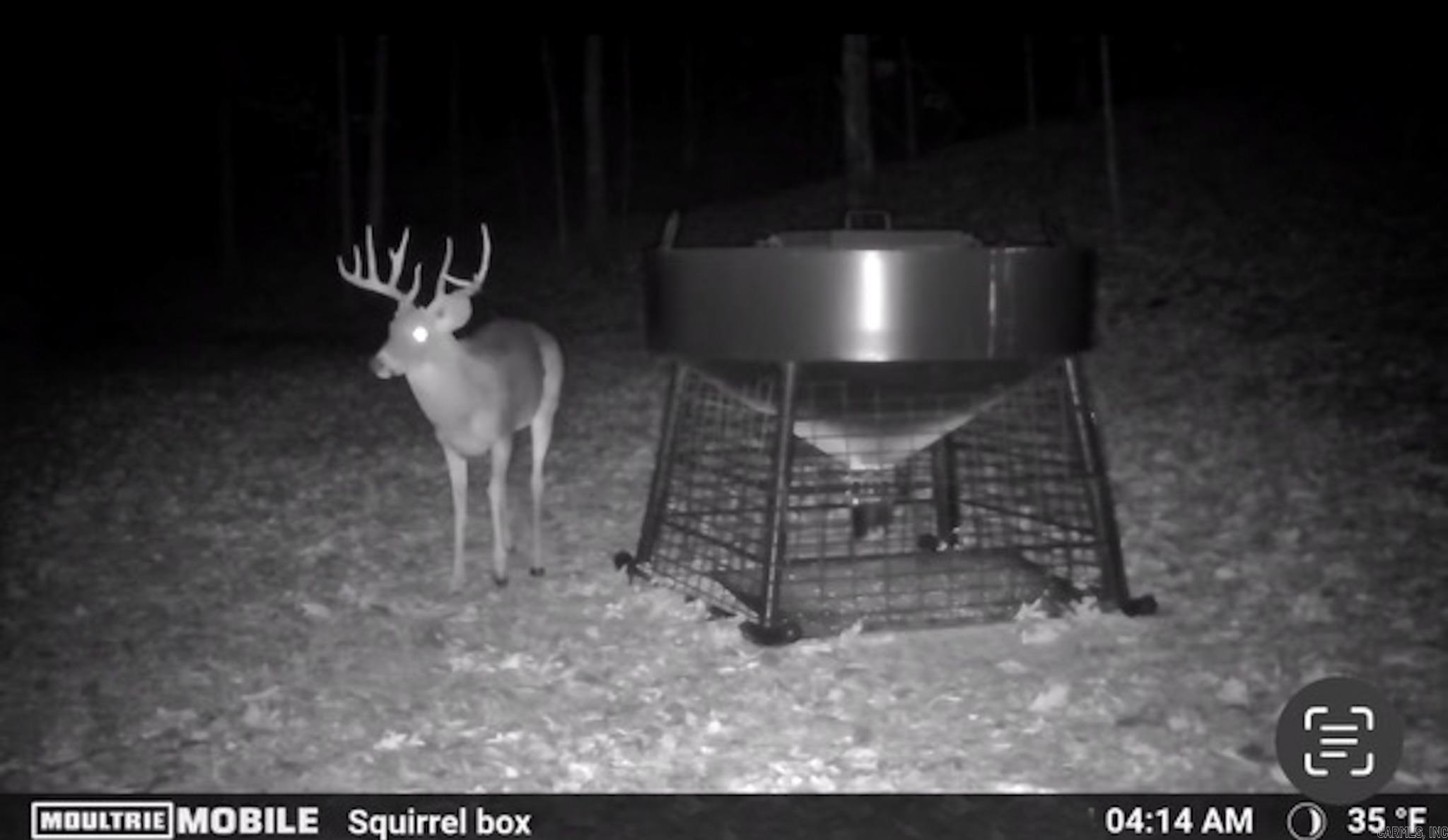 314 Bear Bluff Trail Ravenden, AR 72459