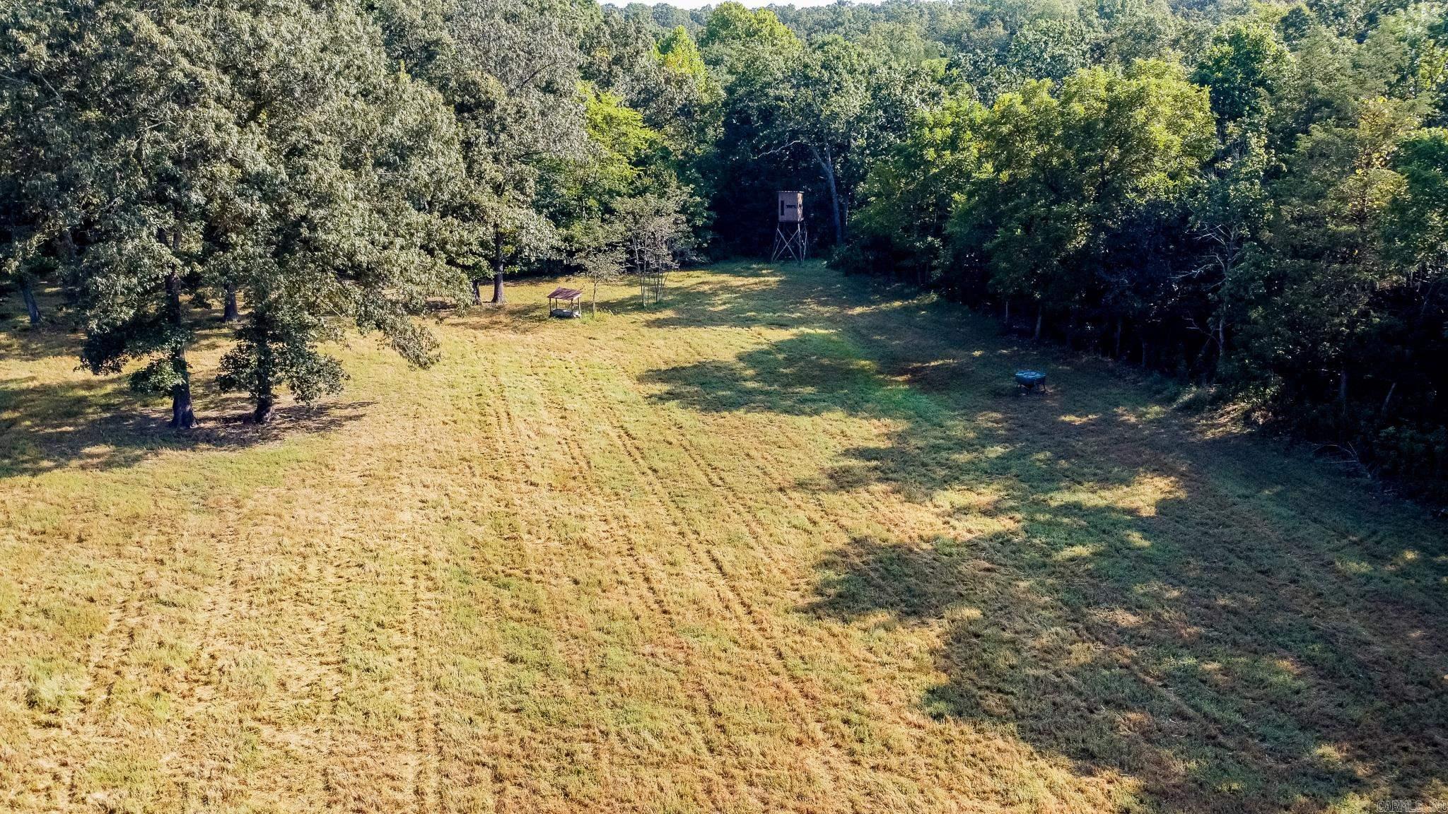 314 Bear Bluff Trail Ravenden, AR 72459