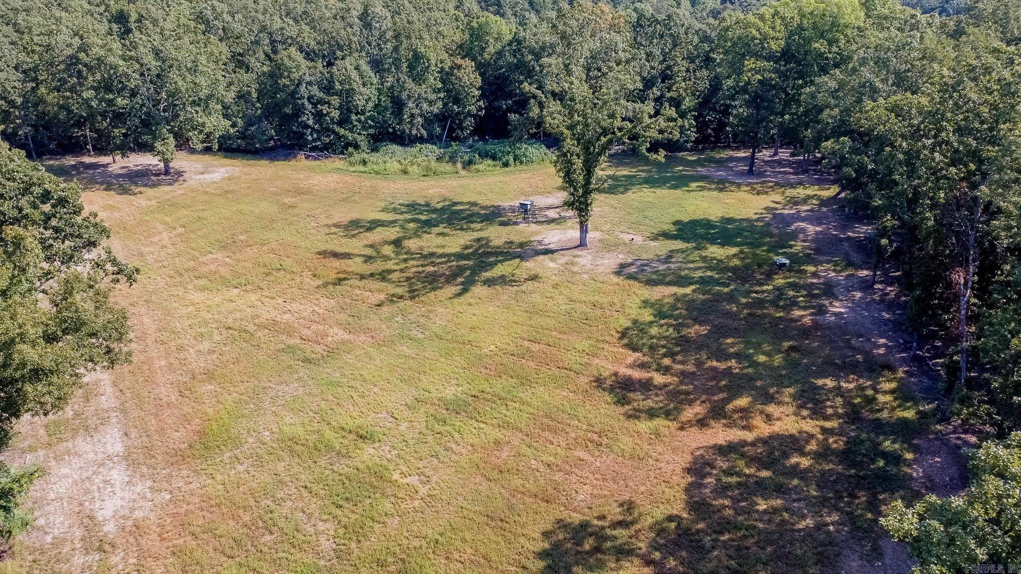 314 Bear Bluff Trail Ravenden, AR 72459