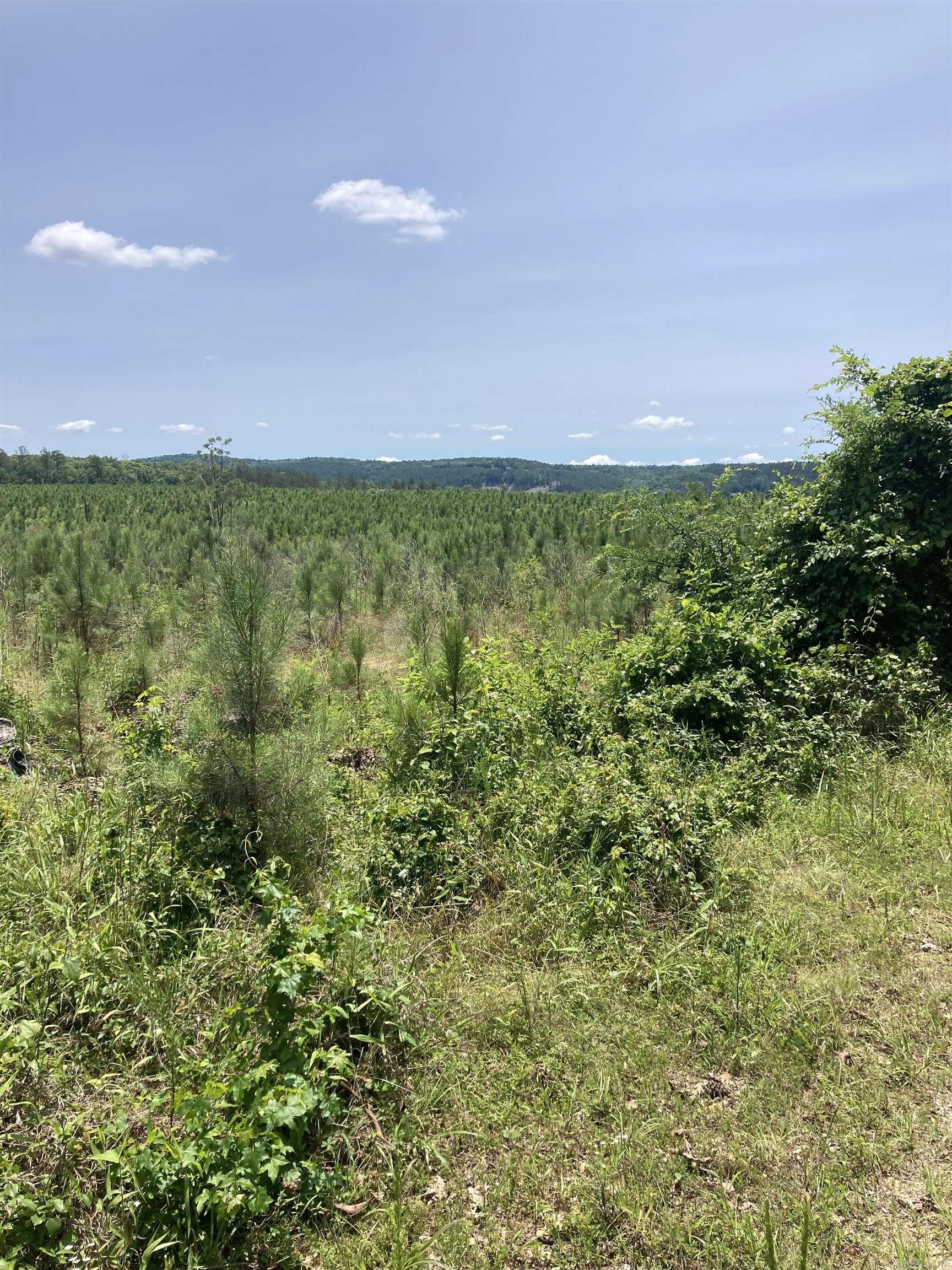 1401 BLOCK OF Beaudry  Jessieville, AR